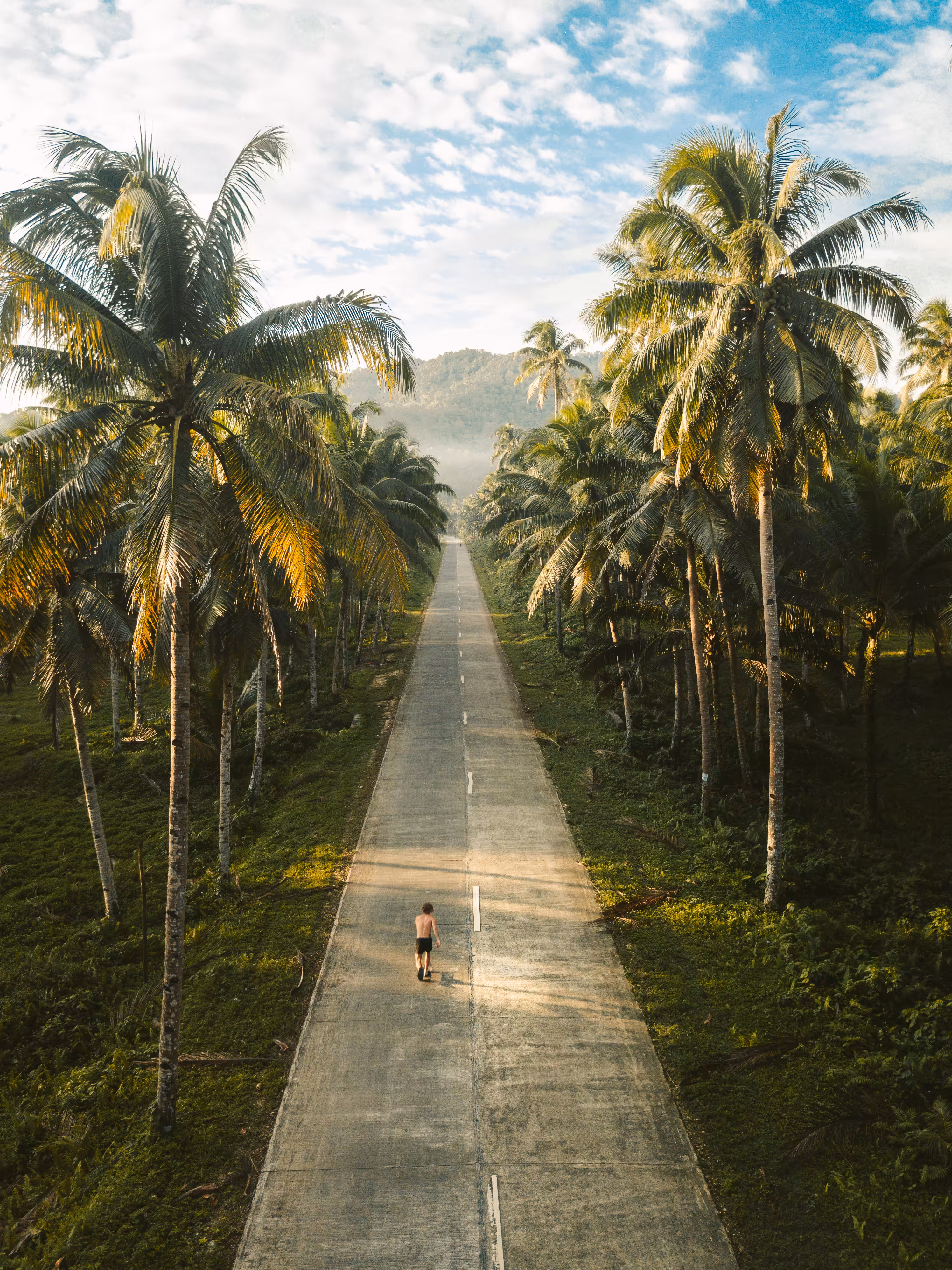 Road to Freedom