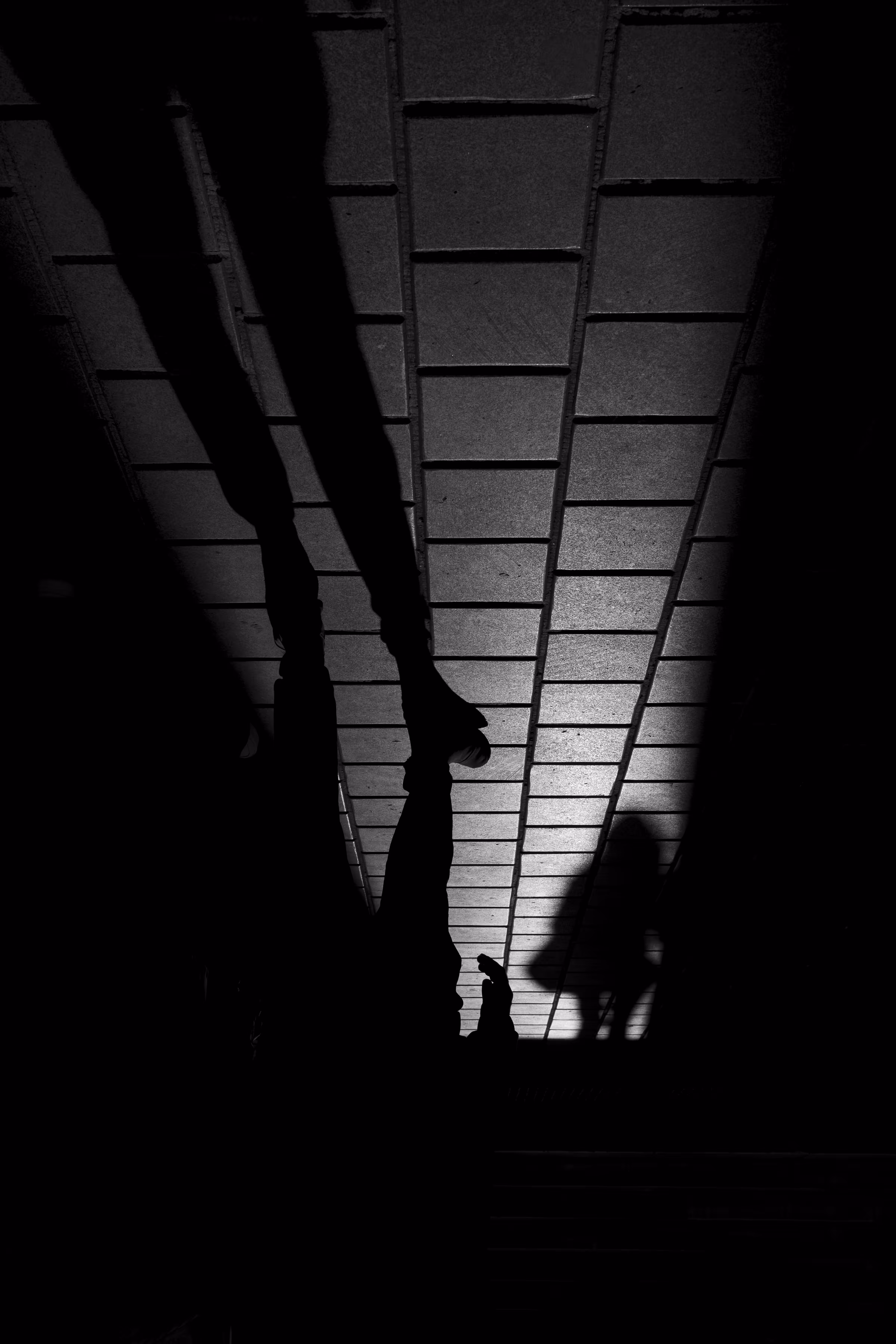 Ephemeral Existence: Crossing Paths