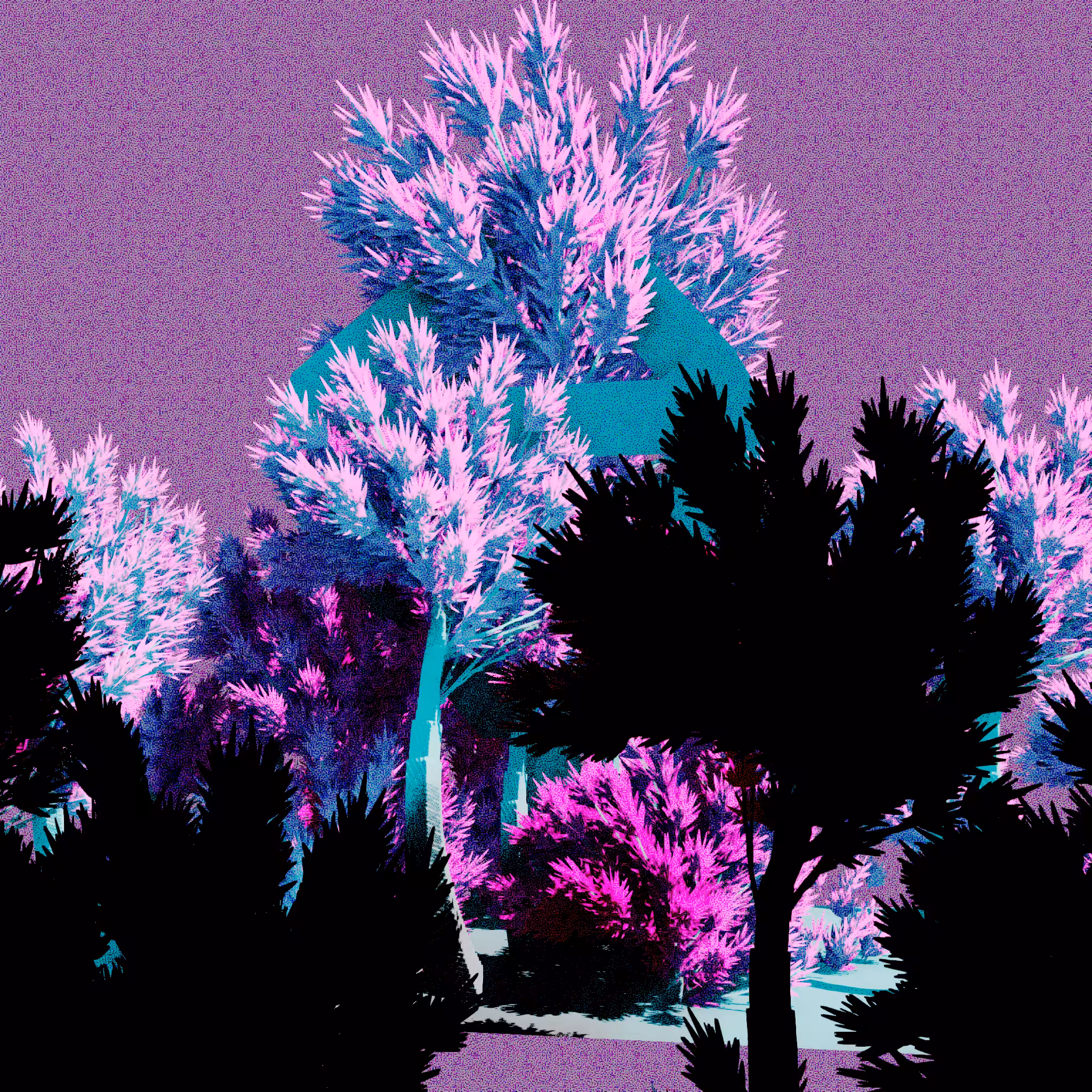 Urban Flora #265