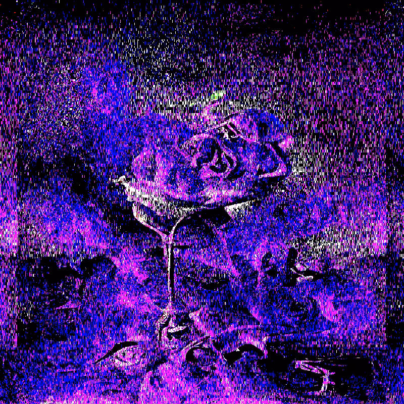 QUANTUM*FLOWERS #9