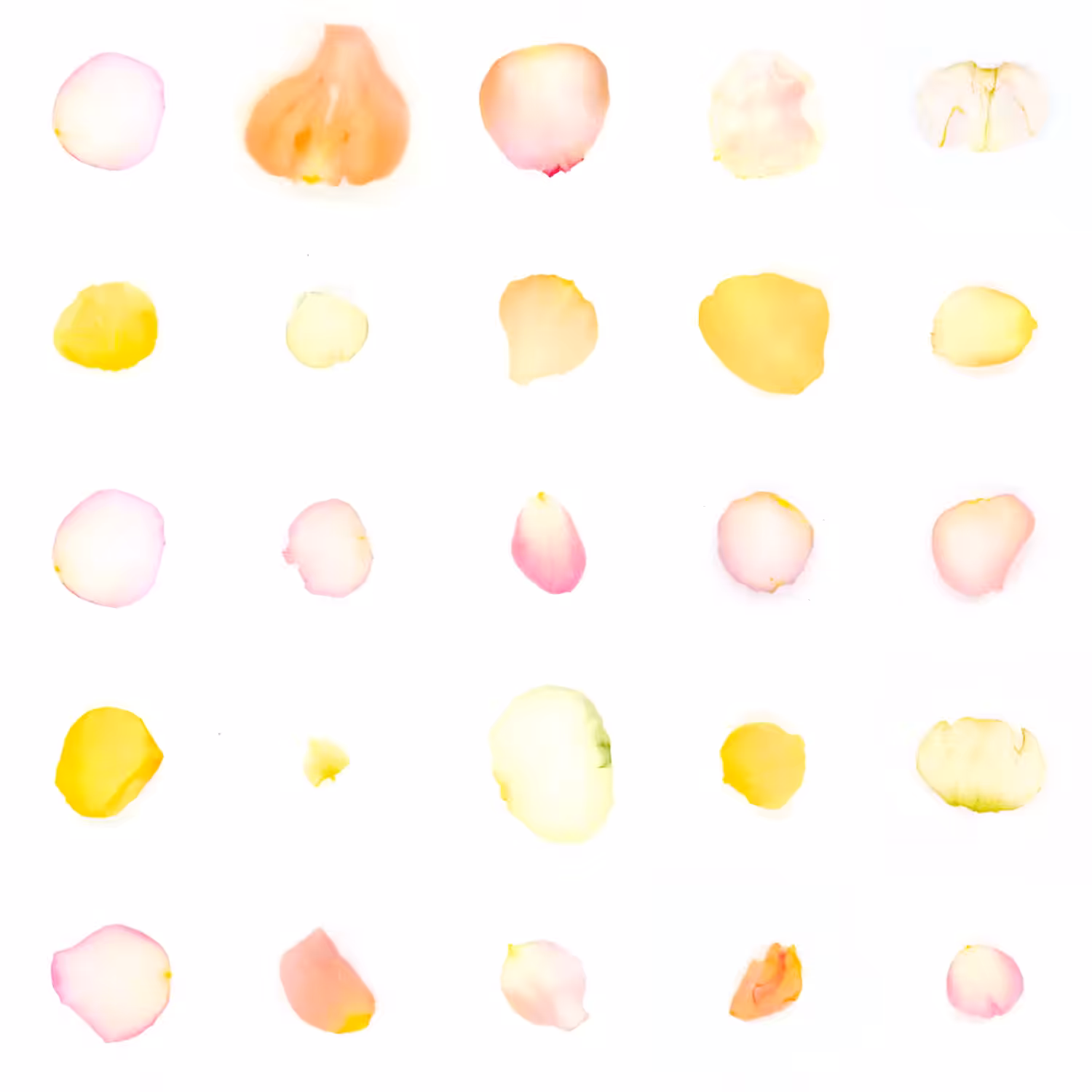 Infinite Petals 5x5#21072