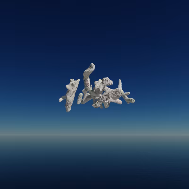 Bone Work (Gulf of Mexico) 2022 #78