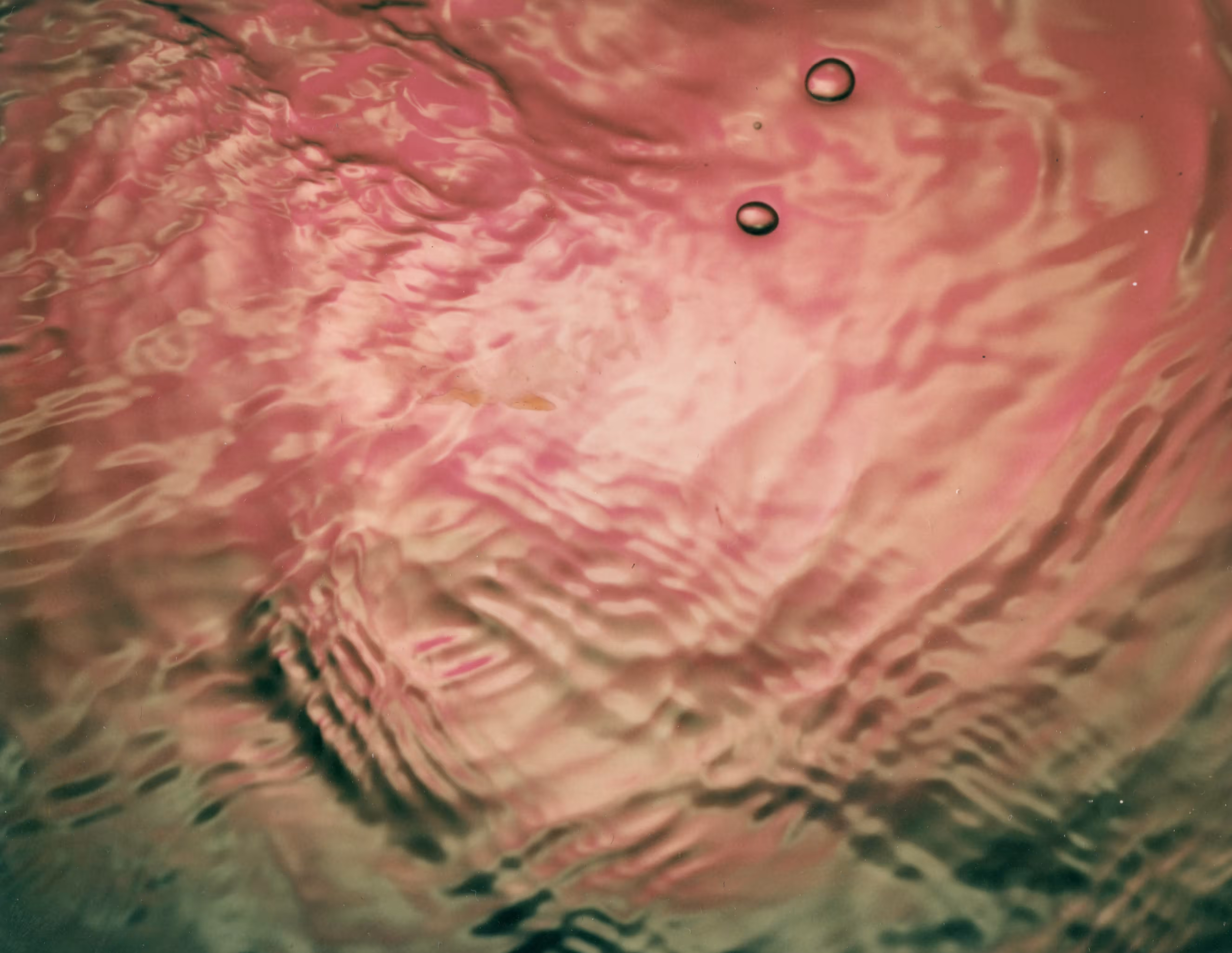 Pink Bubble