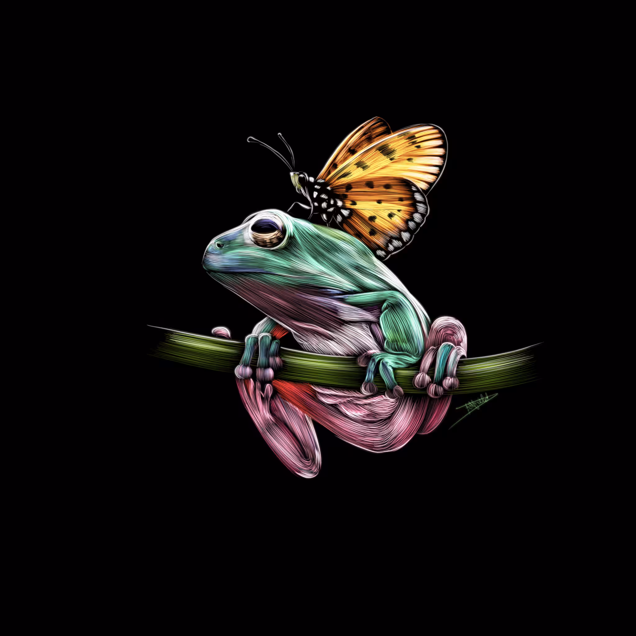 Frog and Butterfly