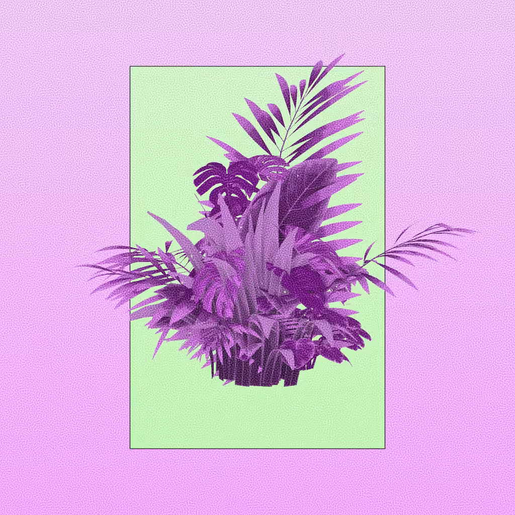Botany #256