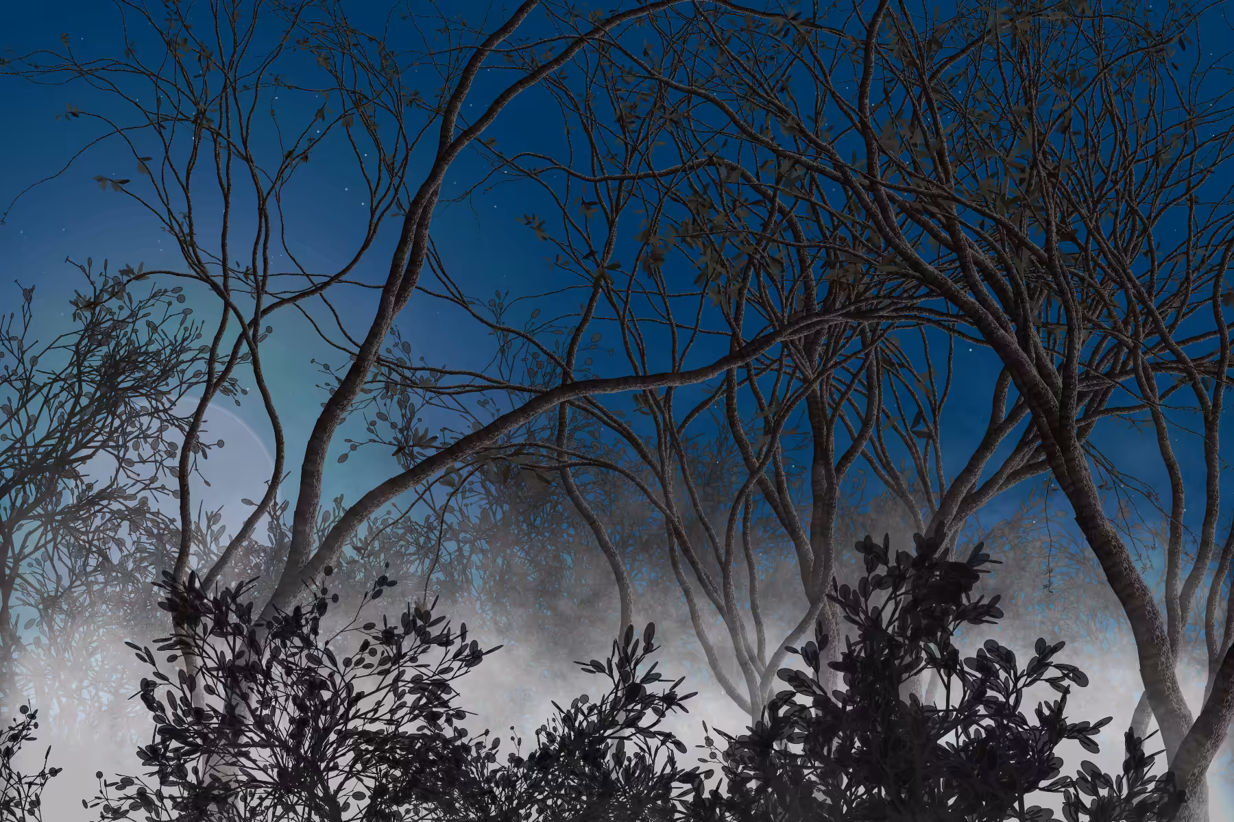 Morning Mist #96