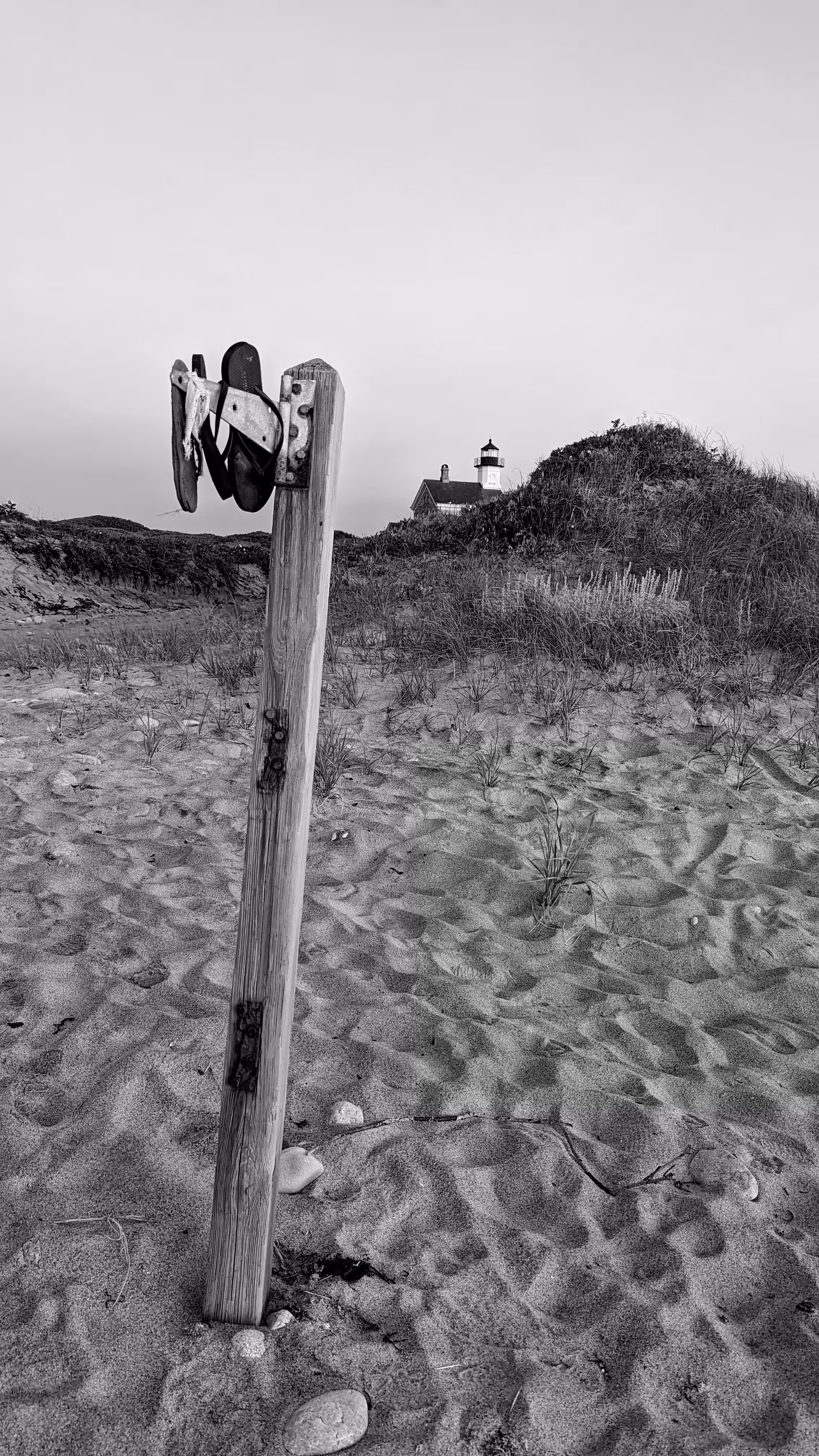 Lost