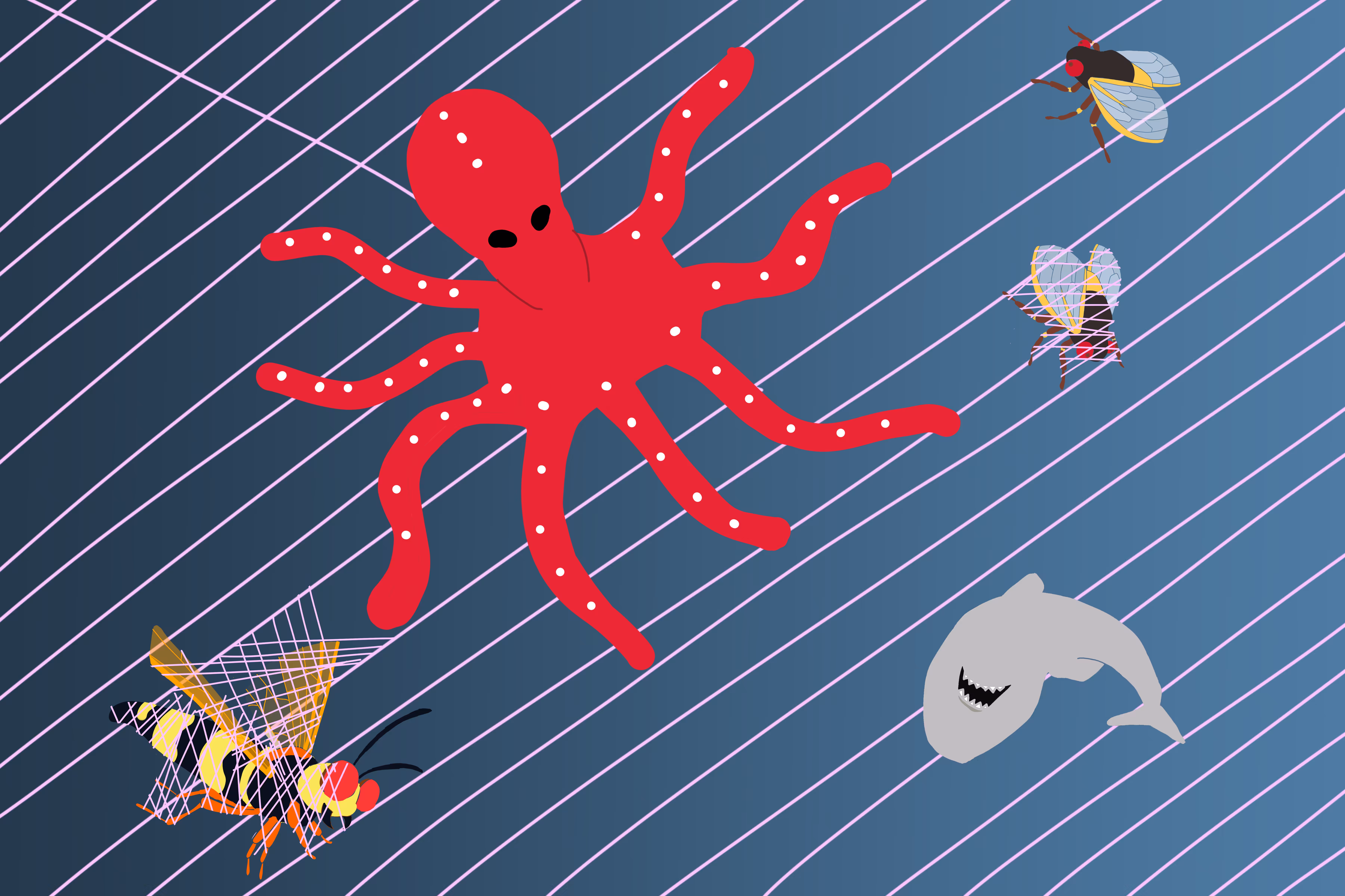 Low Effort Octomint 1.1: Octospider