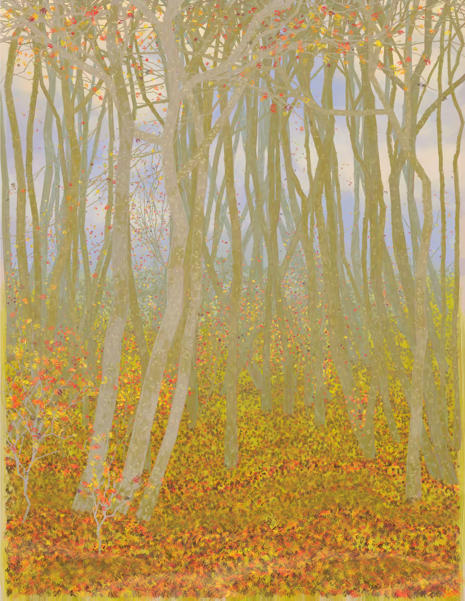 Deep Forest #313