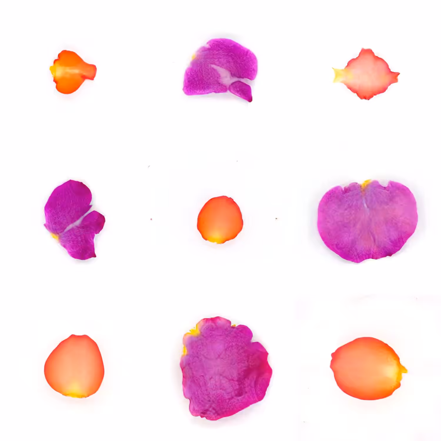 Infinite Petals 3x3#2854