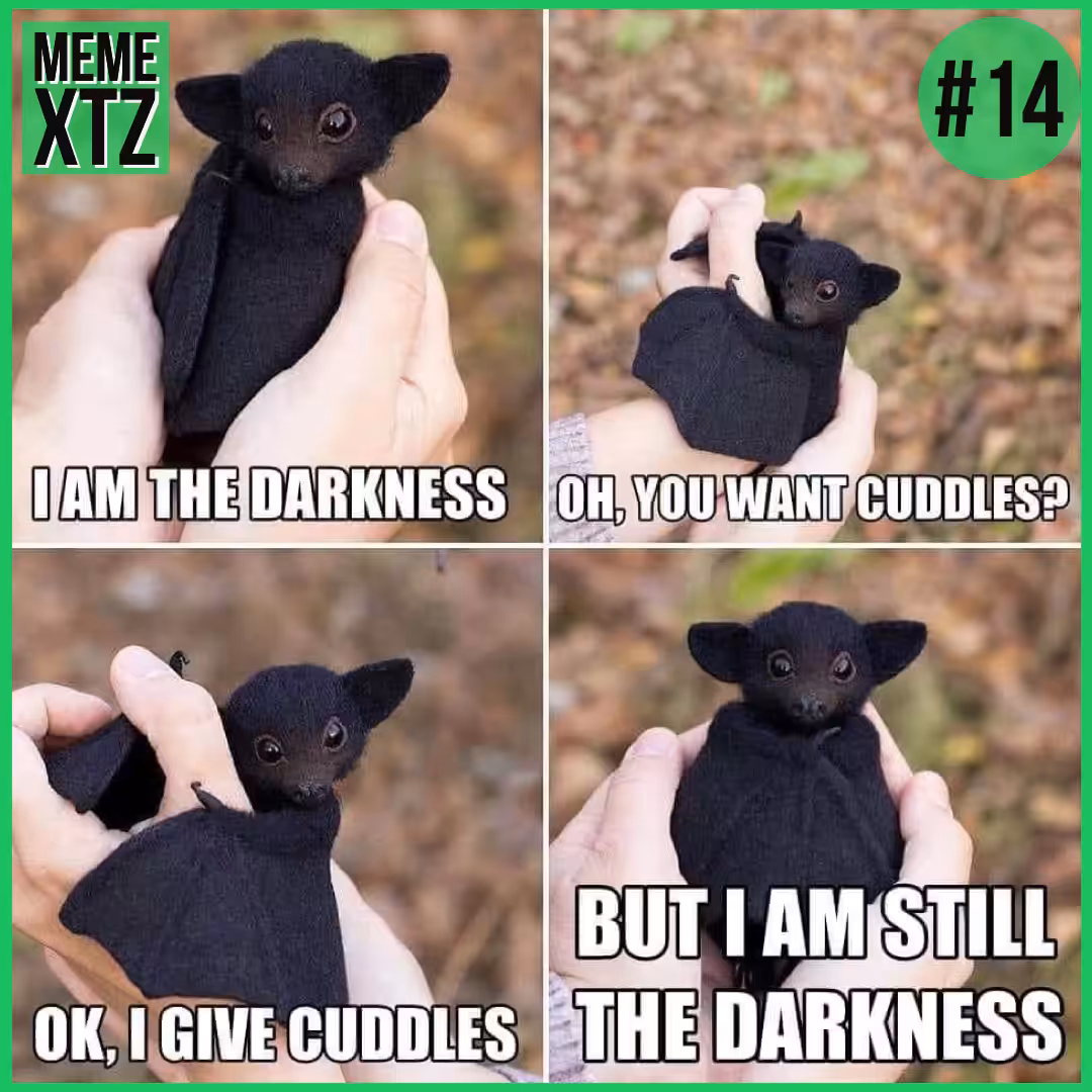 MEME XTZ #14