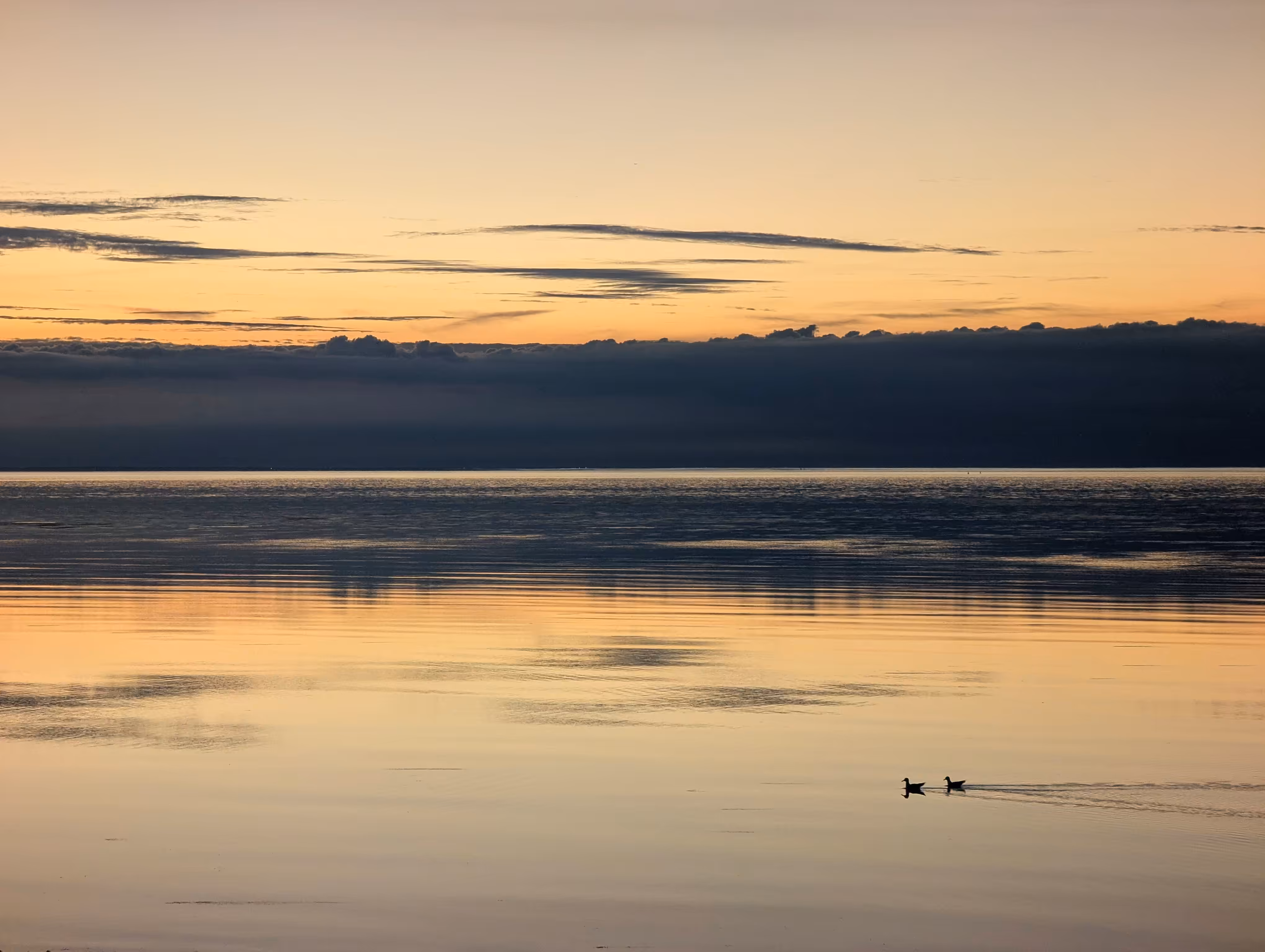 Luke_0x1 Photography : Sunset swim