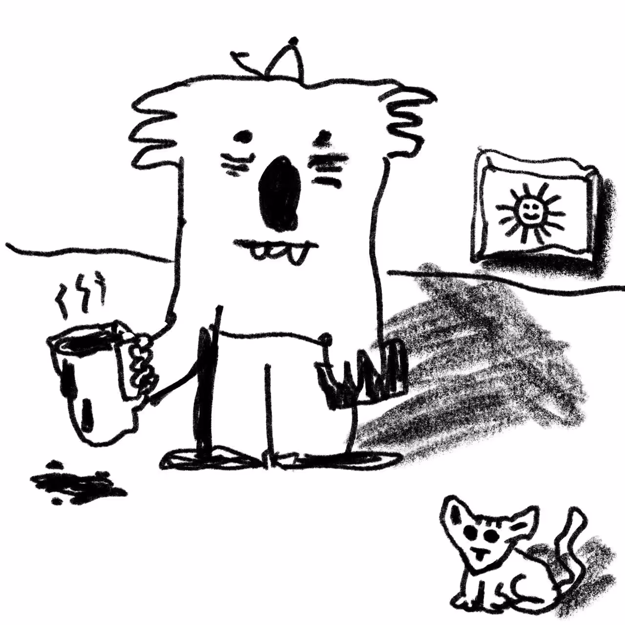koala coffee