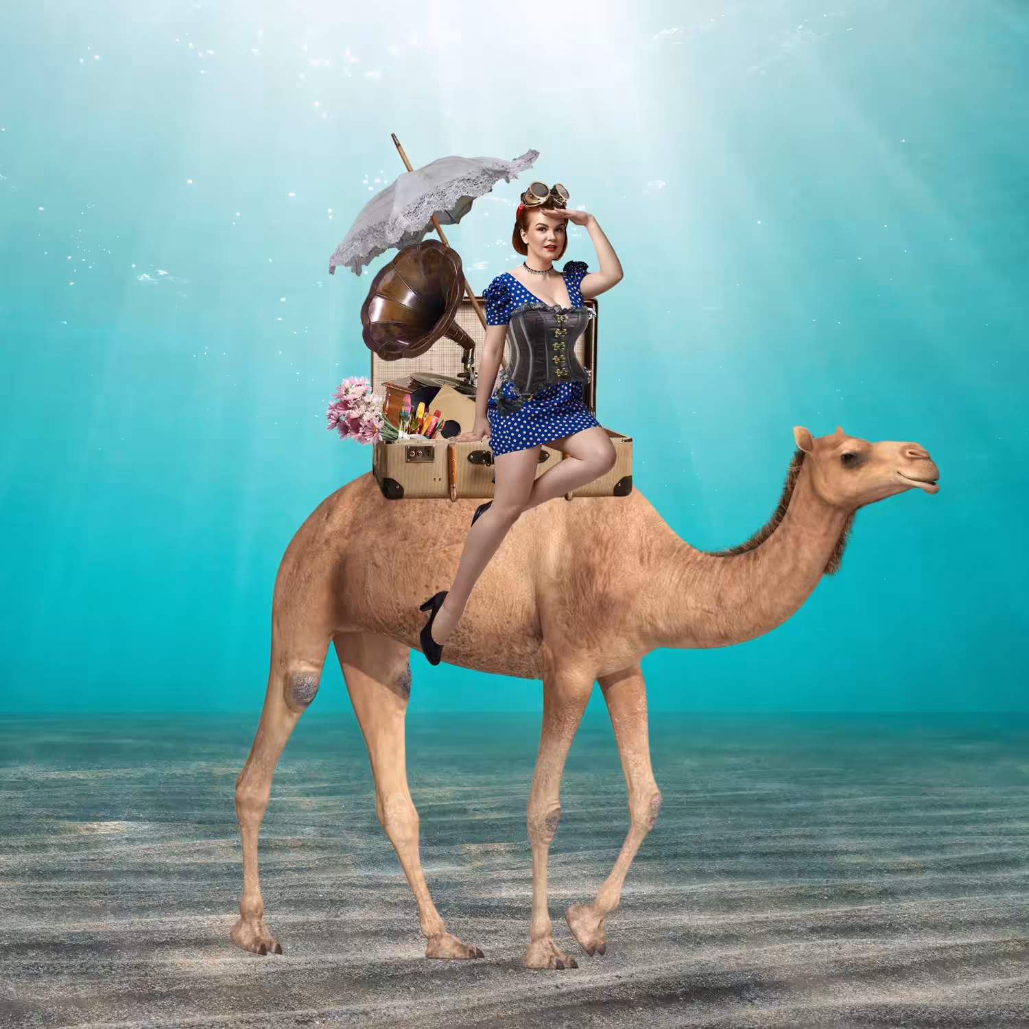 Travel Trip with Camel