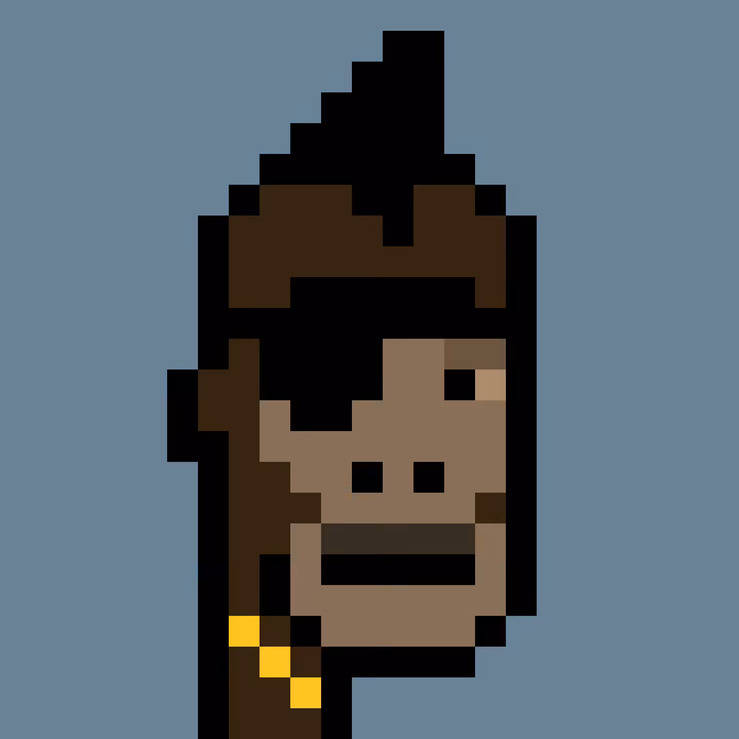 MissingPunk #211