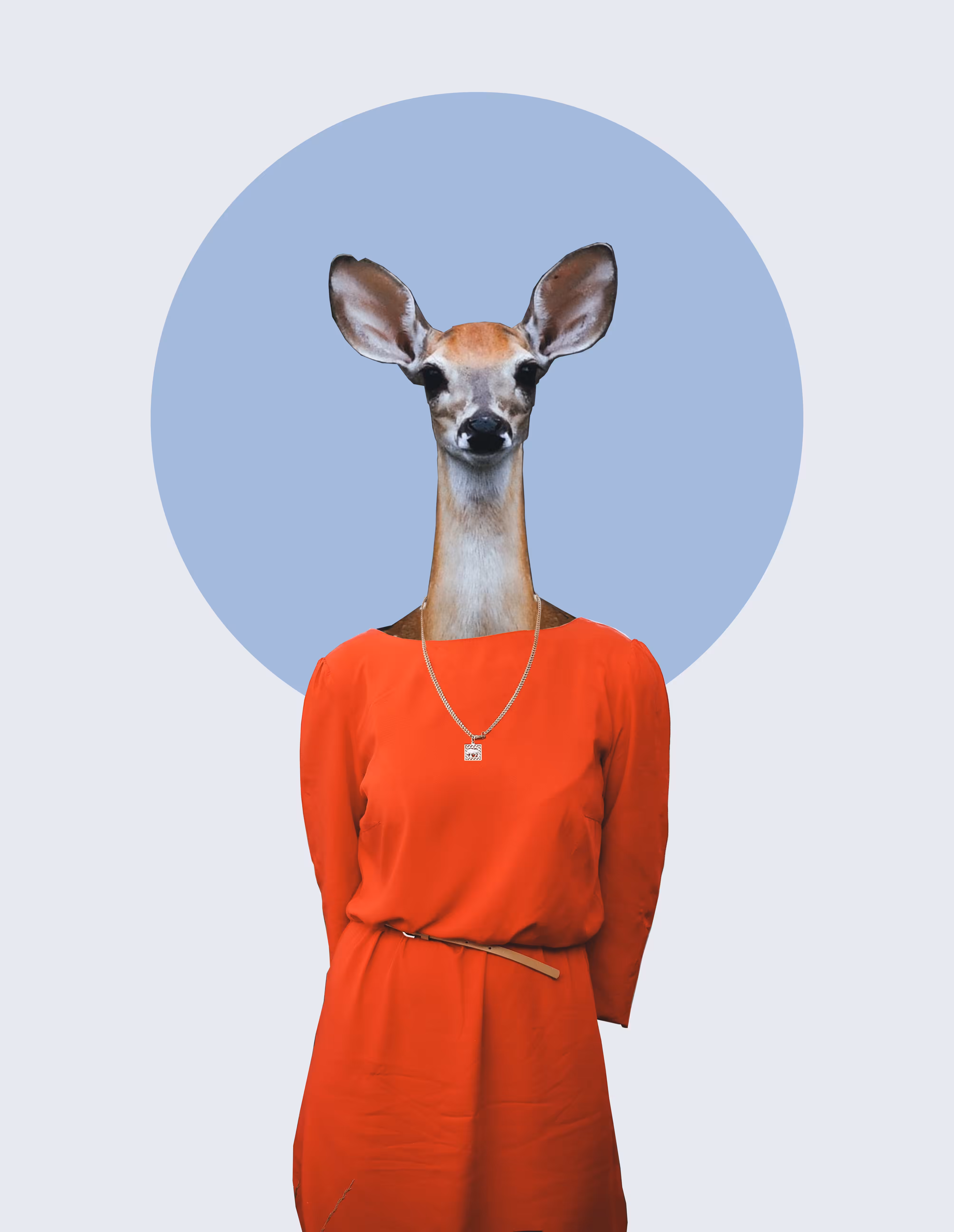 Dear Deer