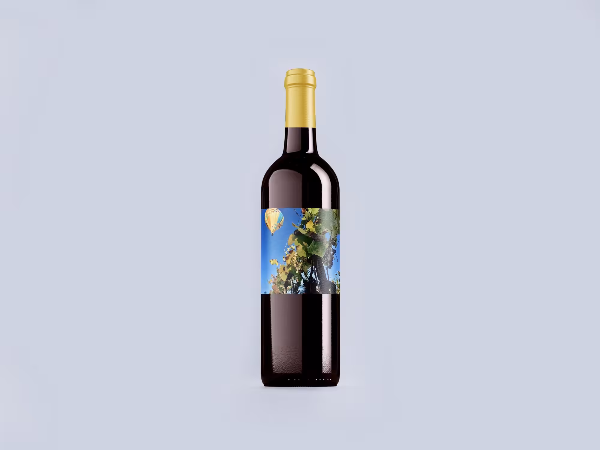 One Wheel Willy - Wine Bottle Prototype