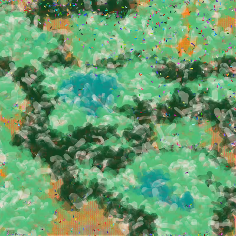 Petri 1500 #1157