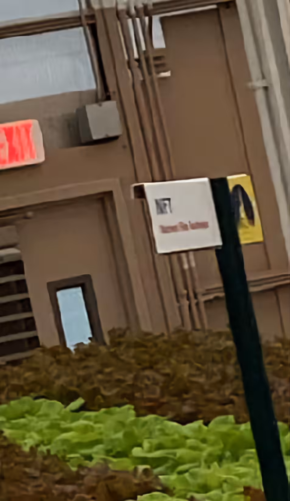 Buy the sign