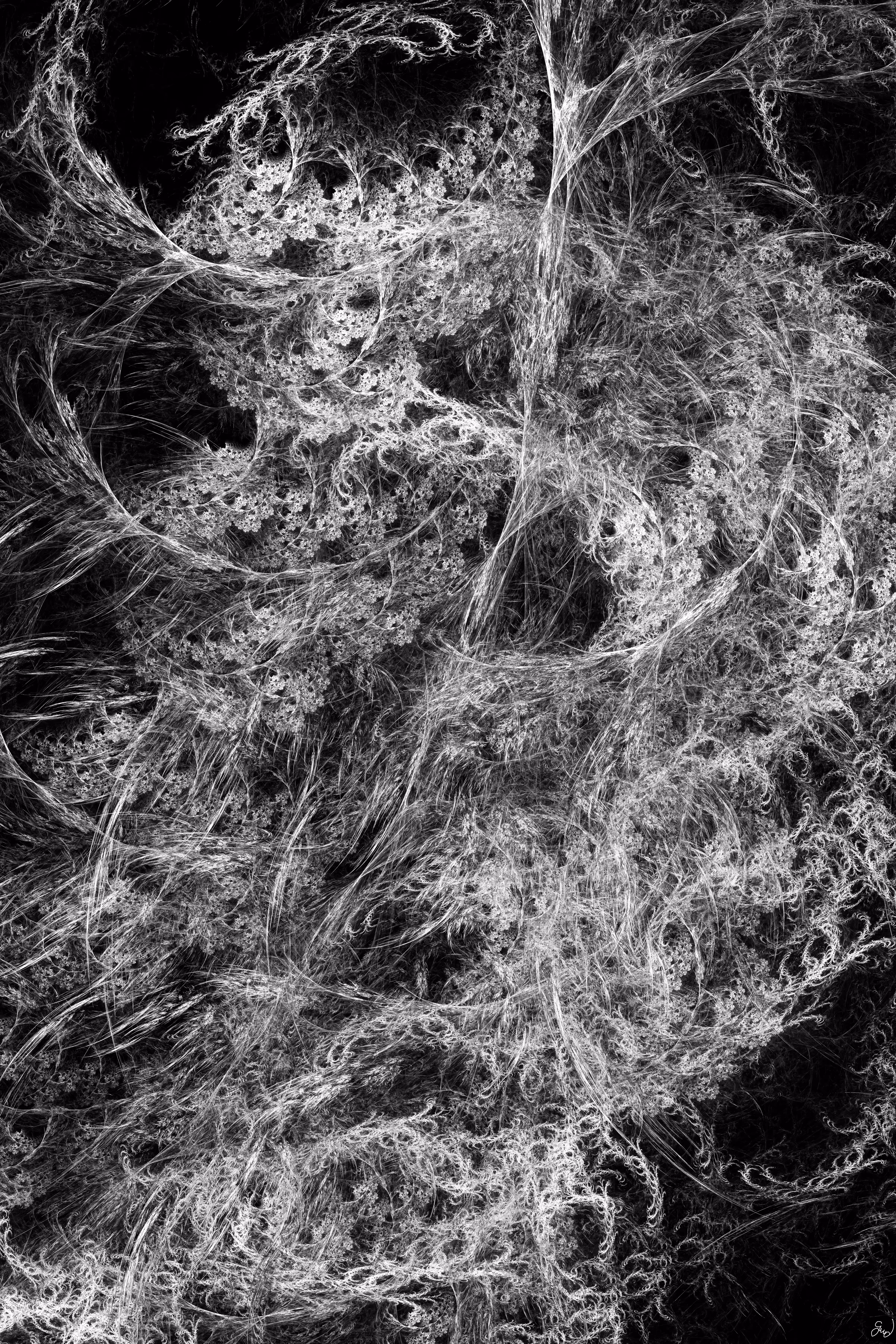 .//Through Decay Rebirth