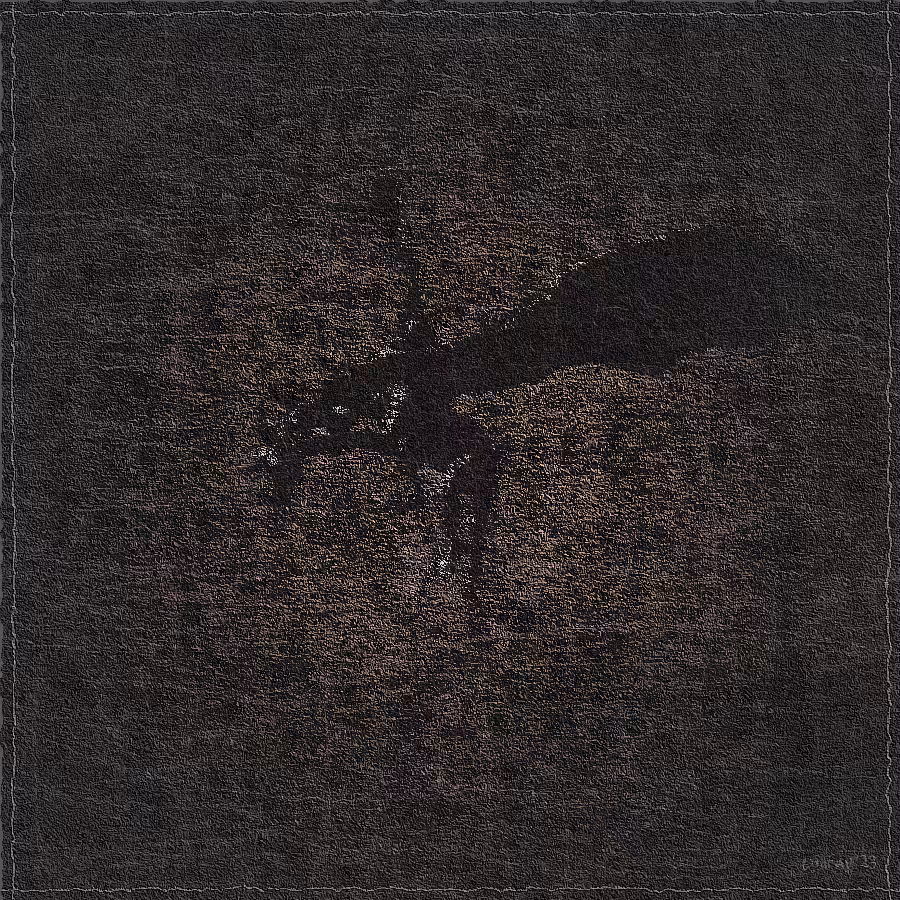 The Spirit of Dragon #19