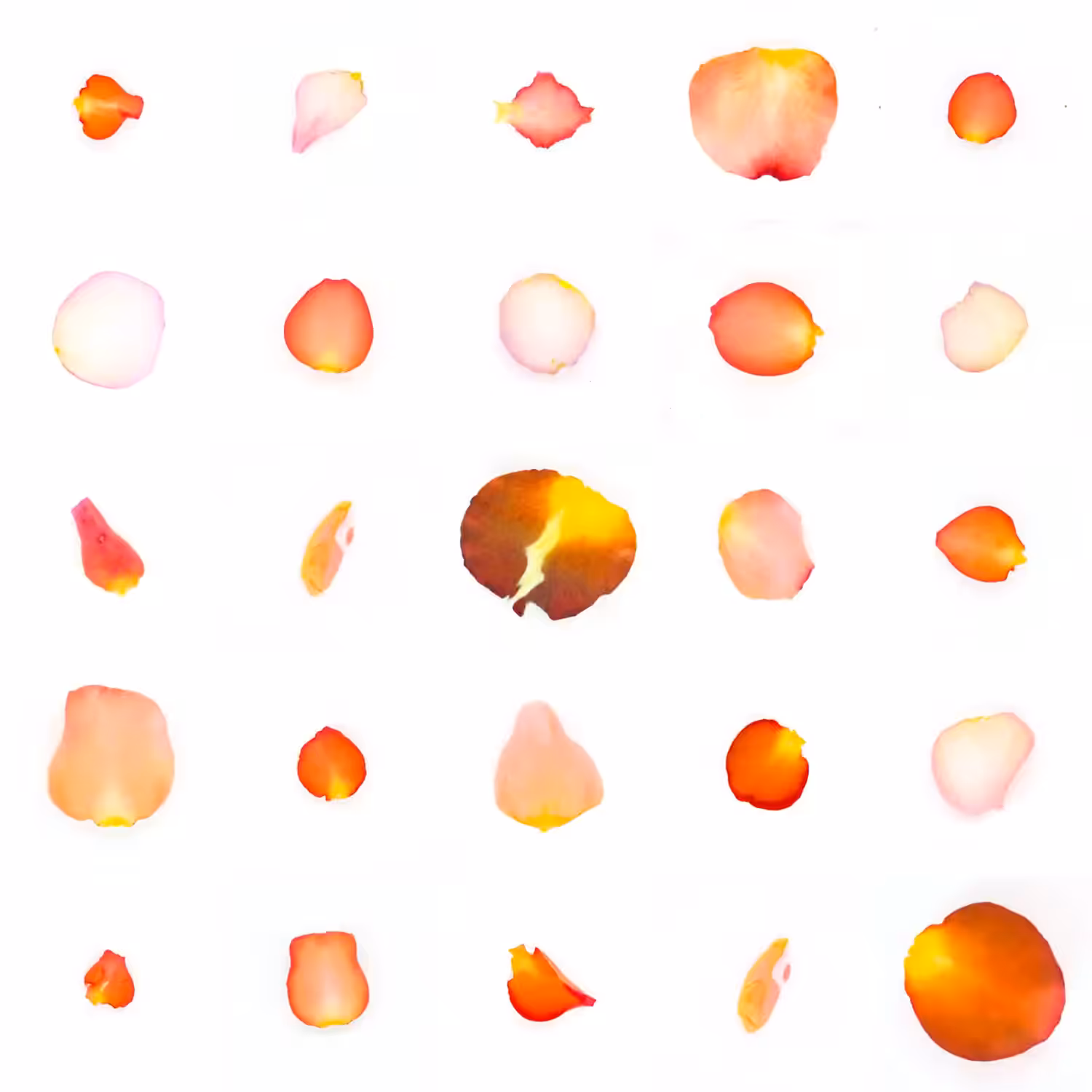 Infinite Petals 5x5#908