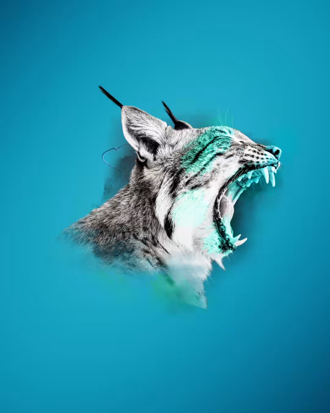 MORRIS - LYNX