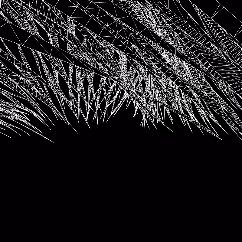 Paths of life #111