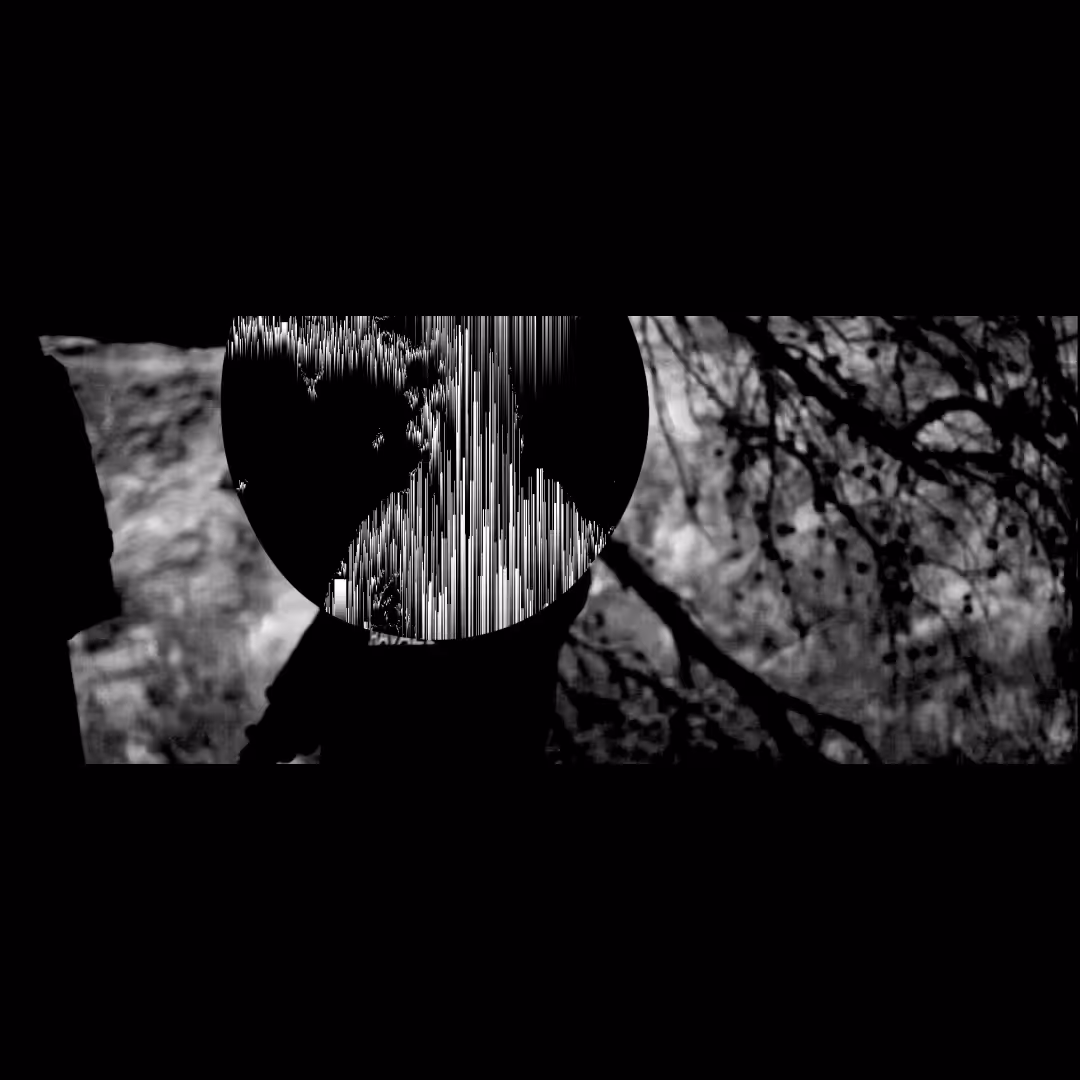 el_baile_0001.mp4