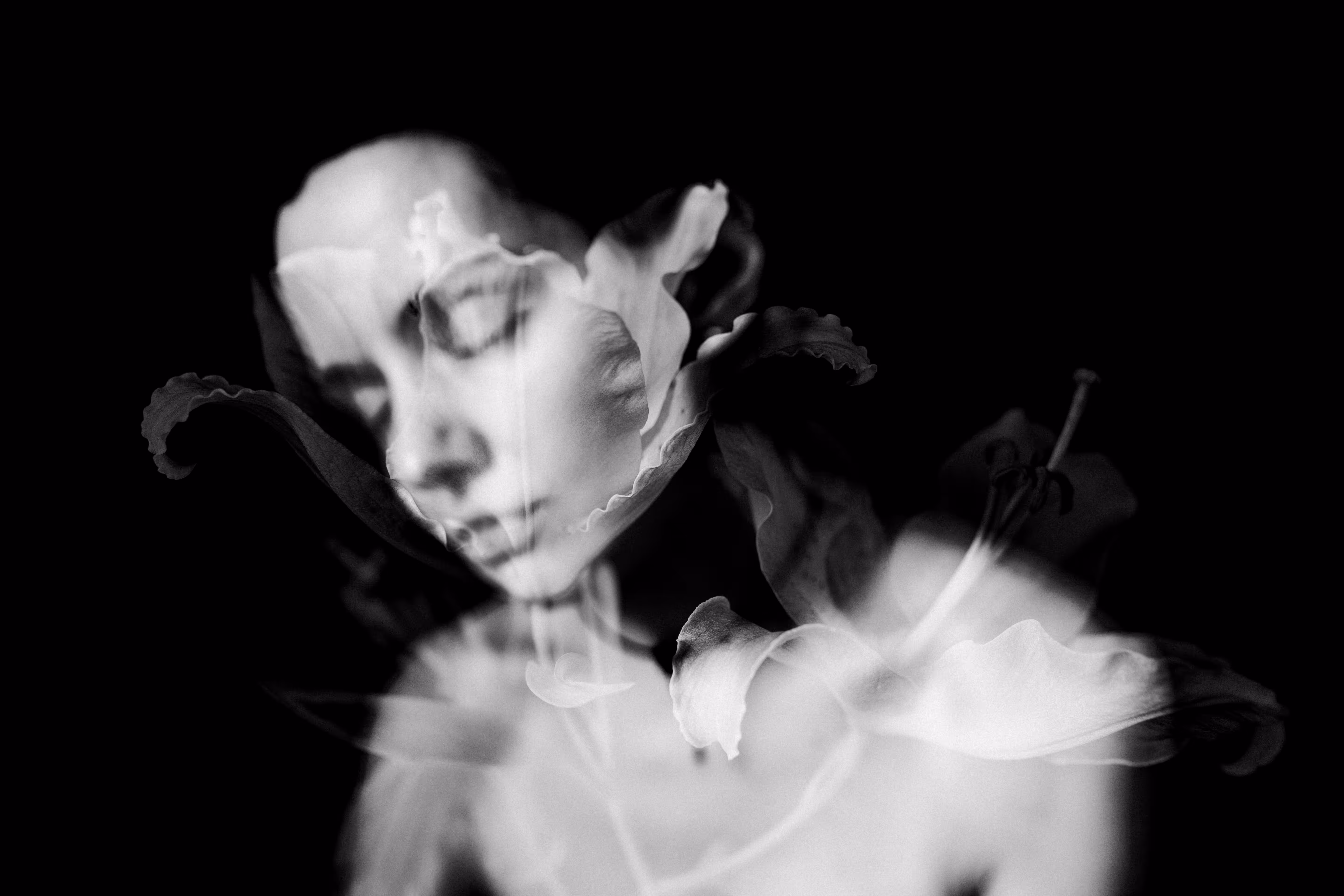 Fleur blanche