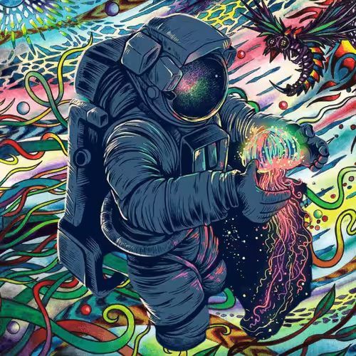 Enter the Void