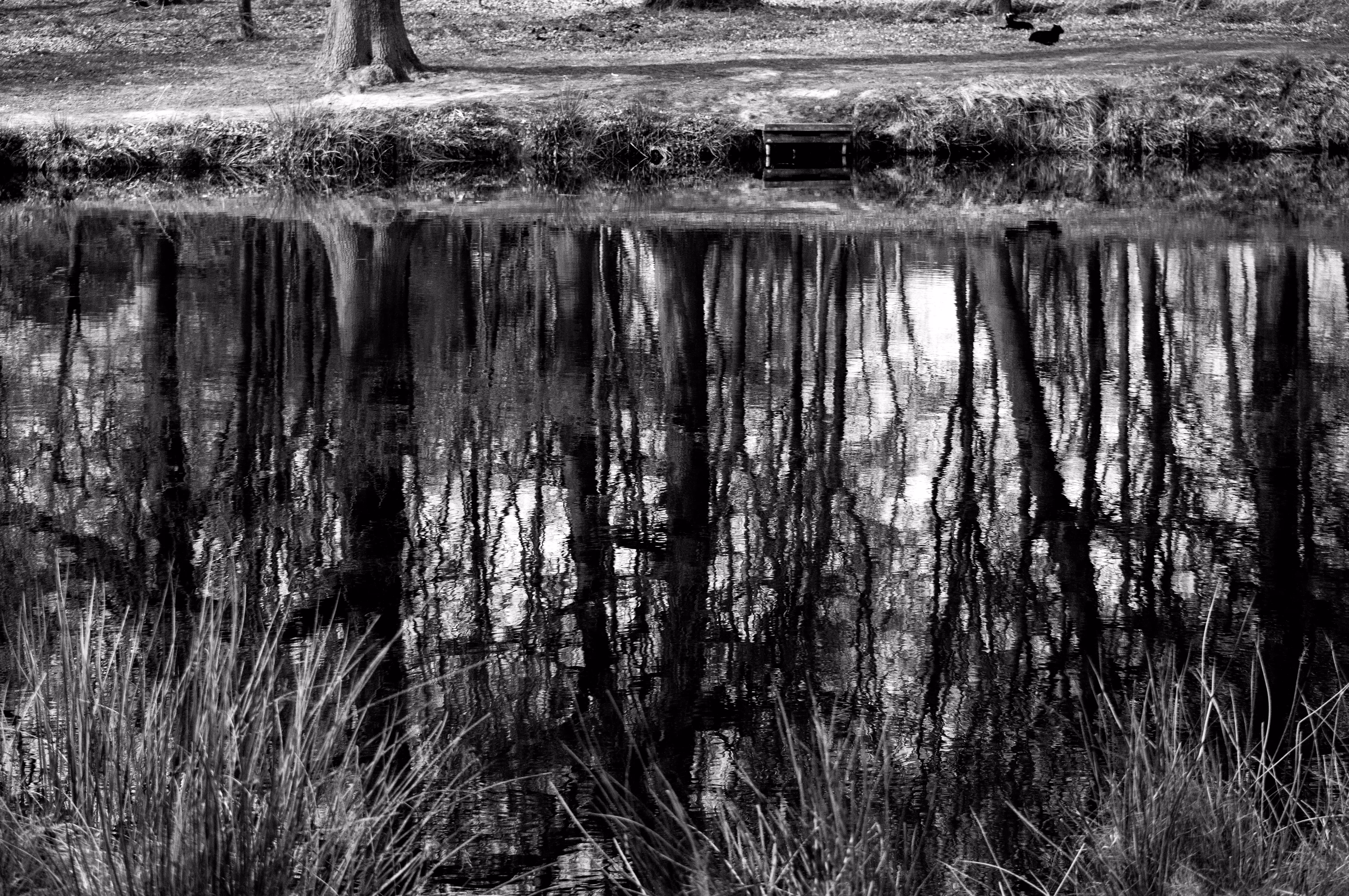 hidden depths
