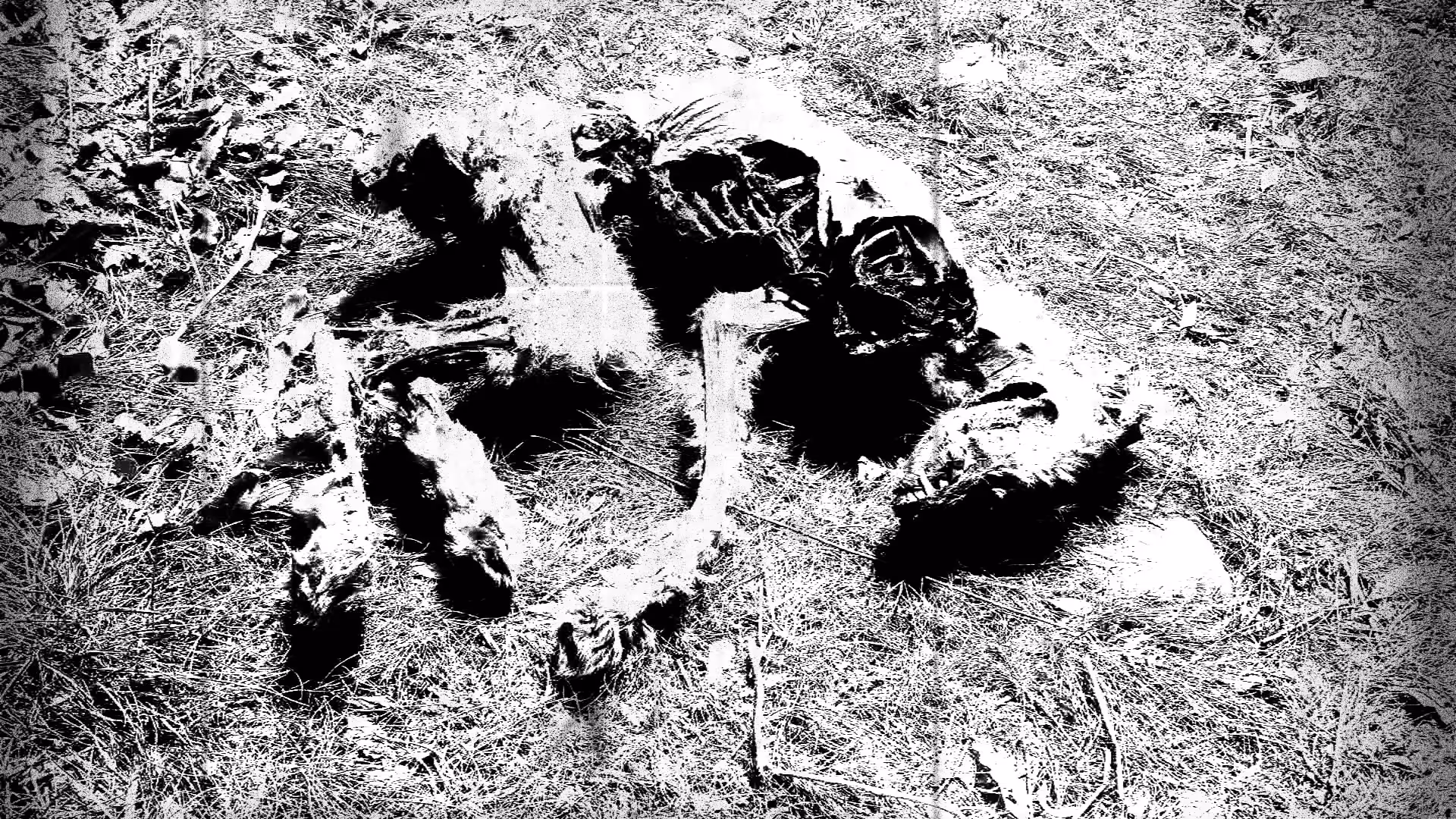  Black & White : A grim intimation of what is to be