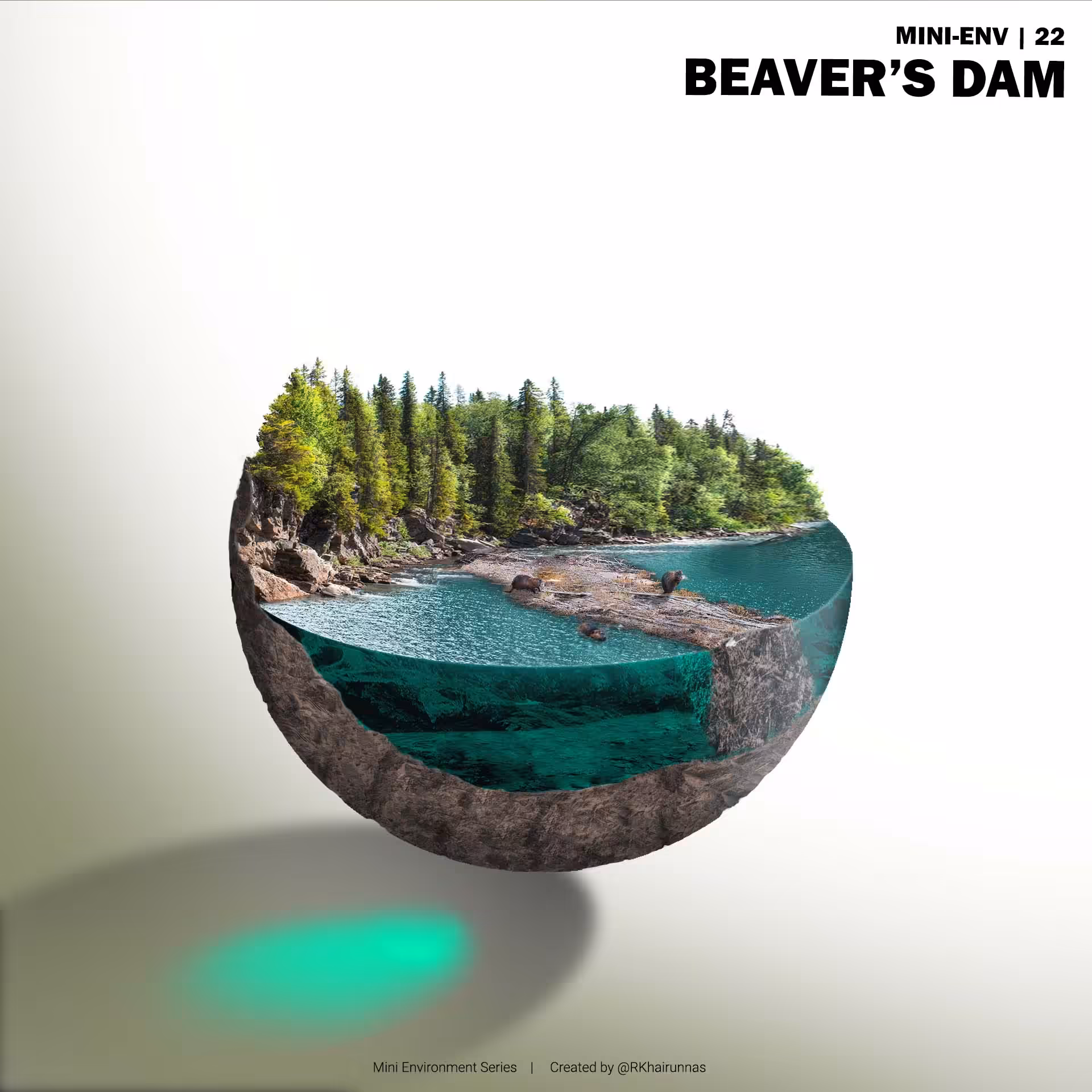 BEAVER'S DAM