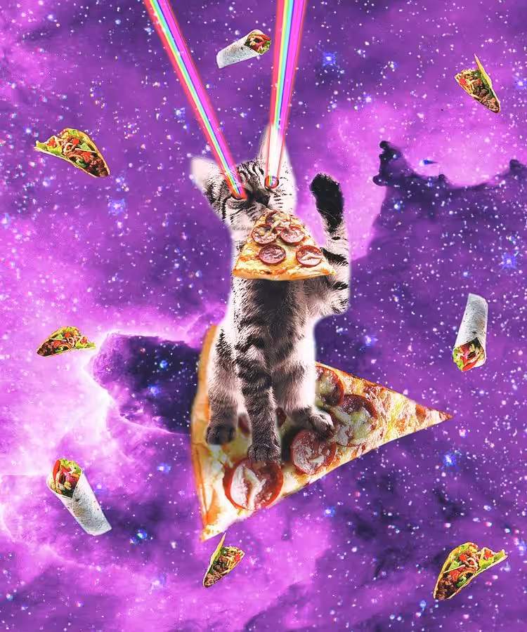 Space Cat Pizza #18 - PizzaPizzazz
