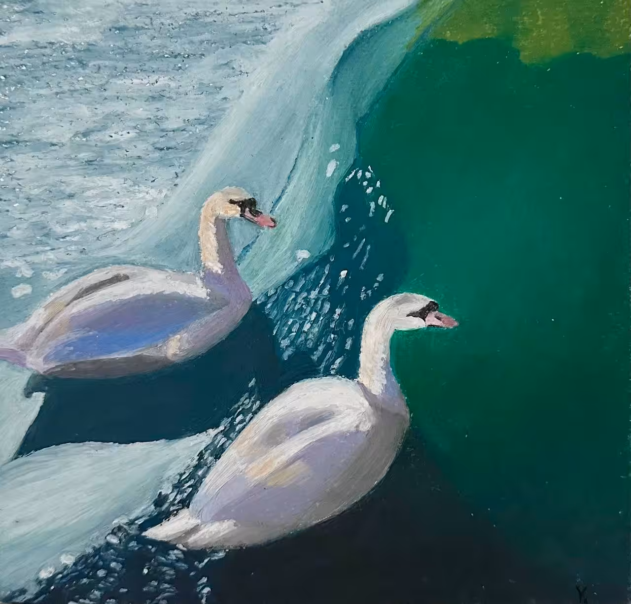 Mute swans
