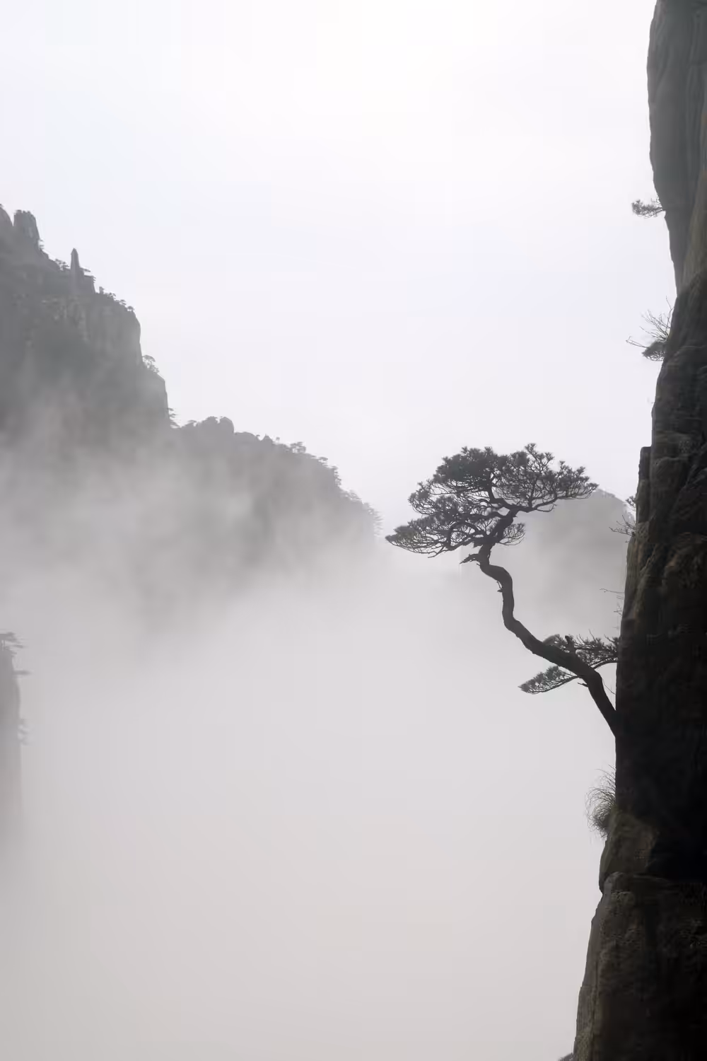 Huang Shan 黄山 09