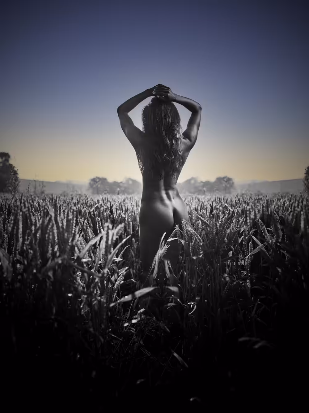 In The Moment II Special Edition Blue - Fields of Gold Triptych II