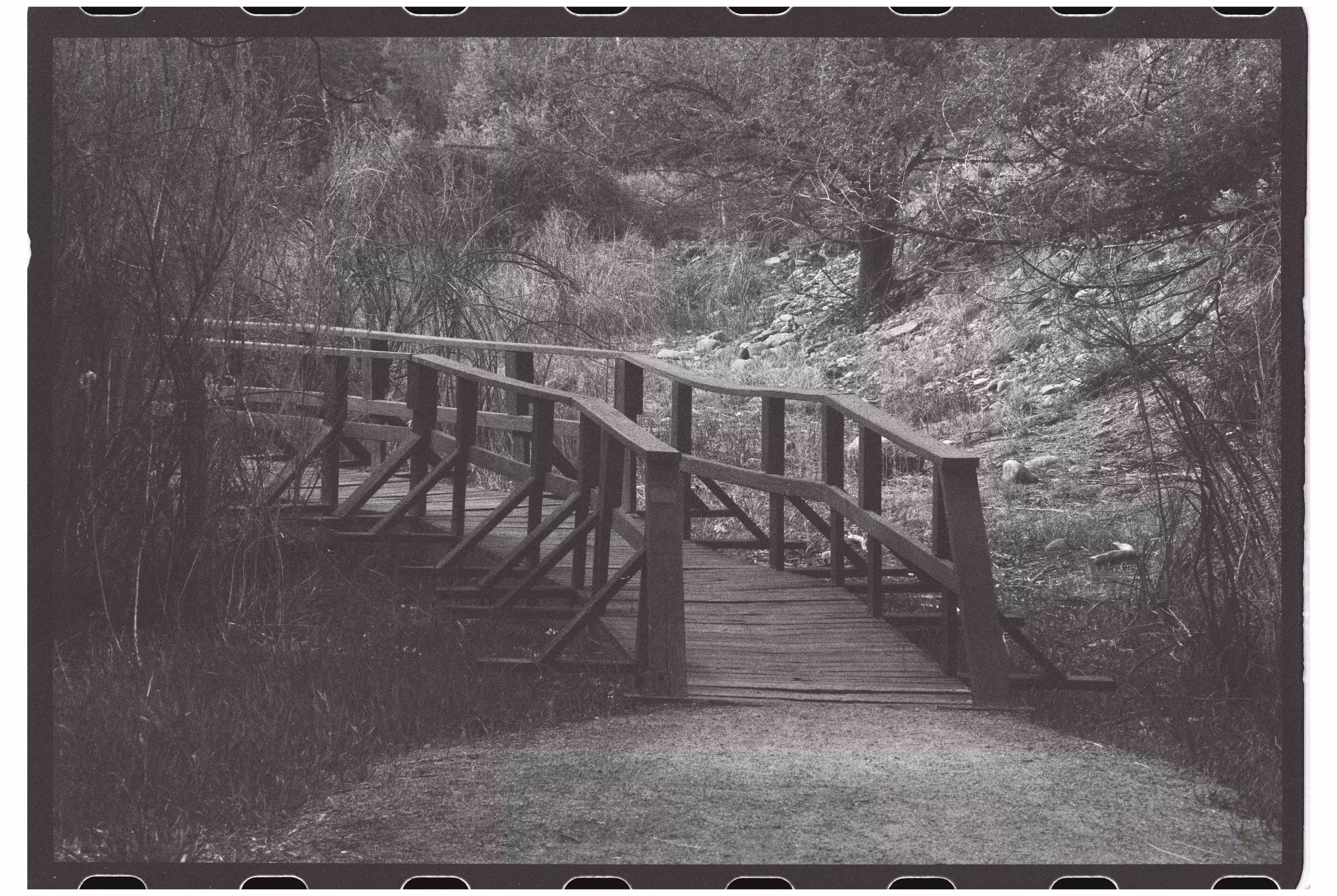Pathways