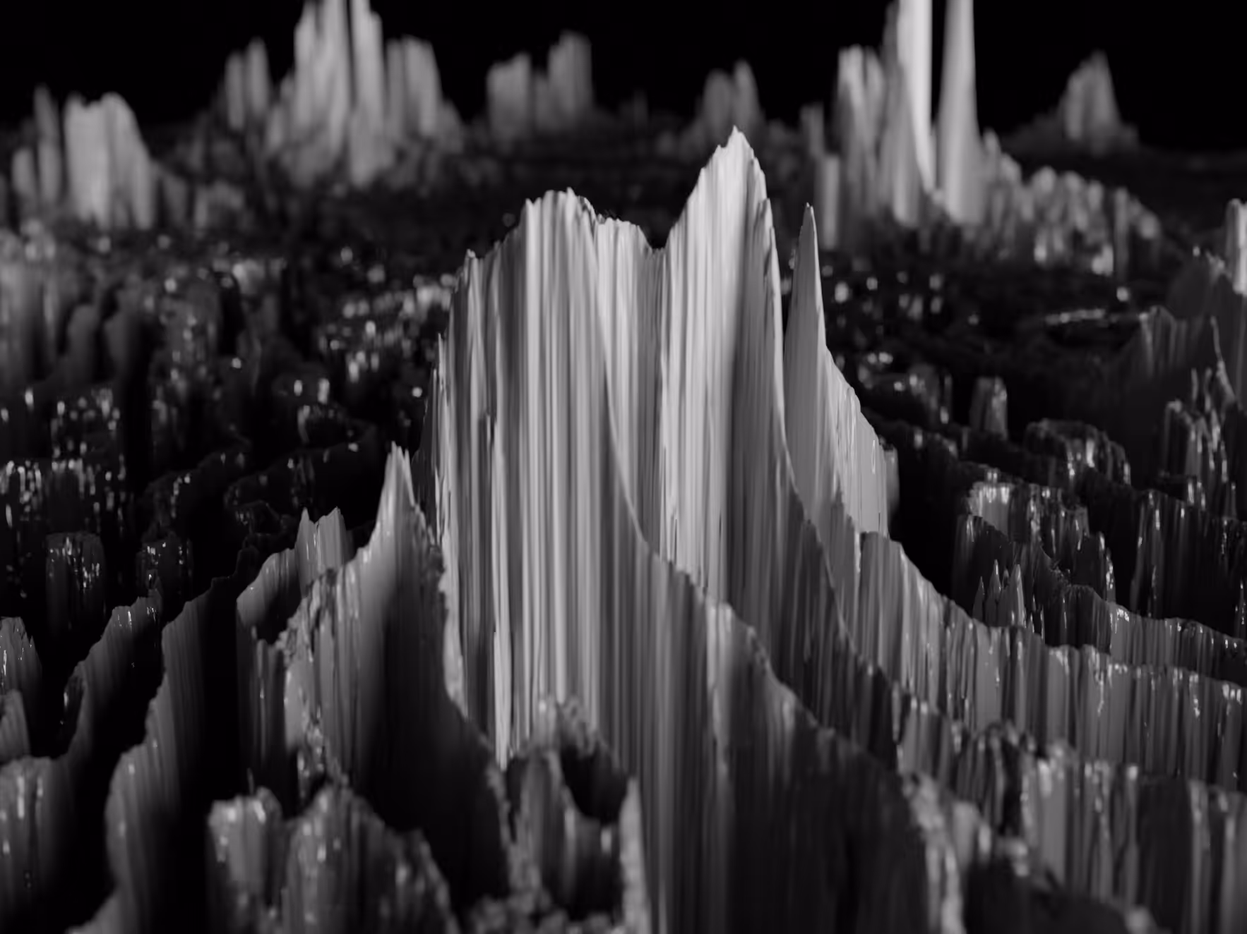 PHYSARUM LANDSCAPE #10