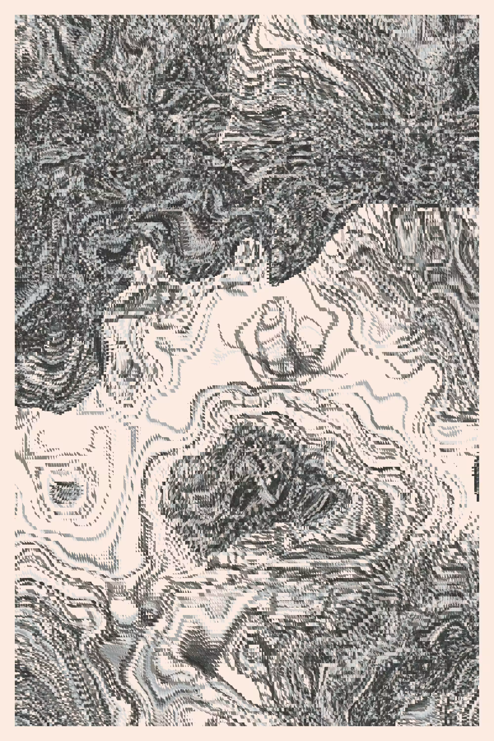 Dislocation #29