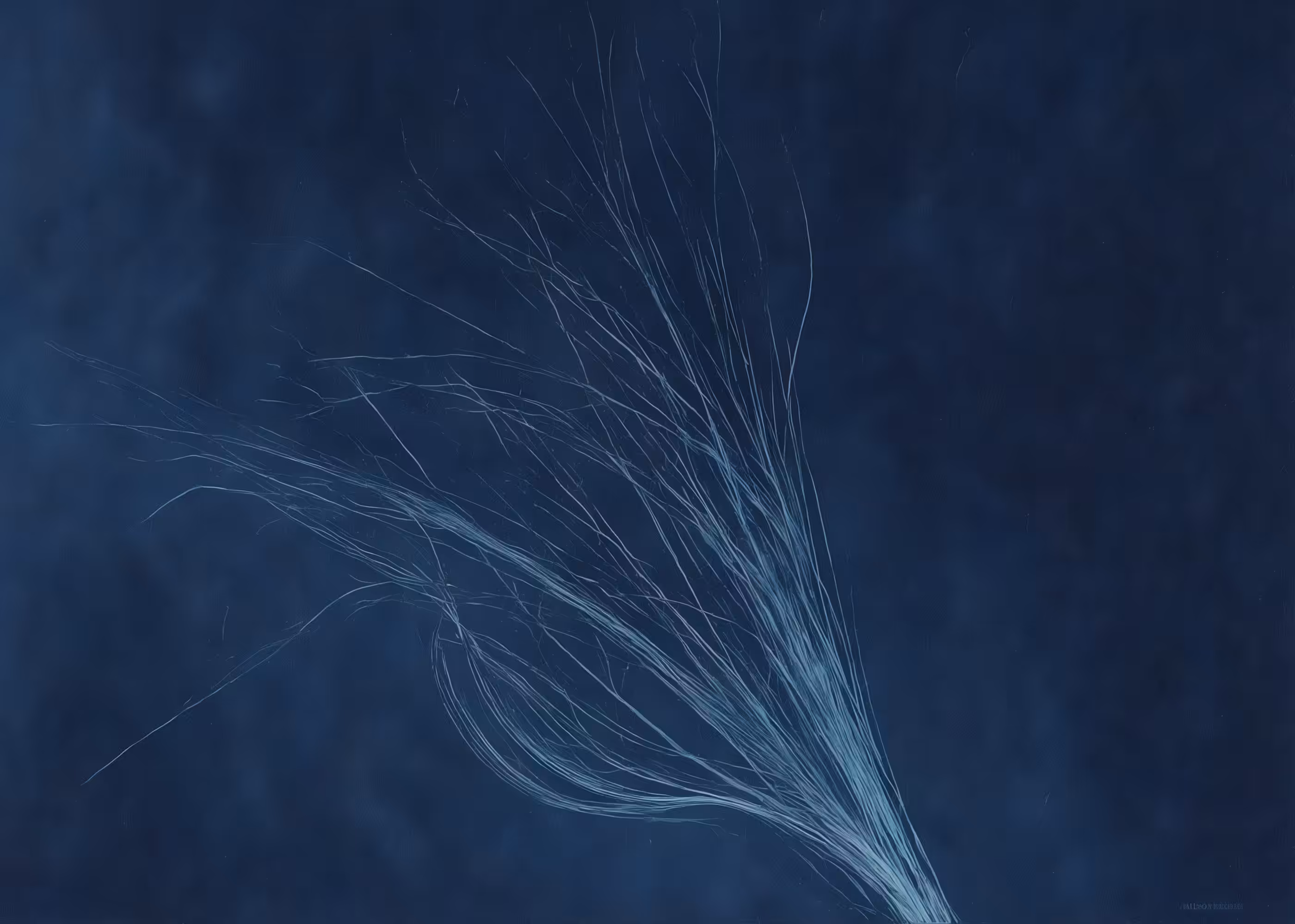 Lumens #164