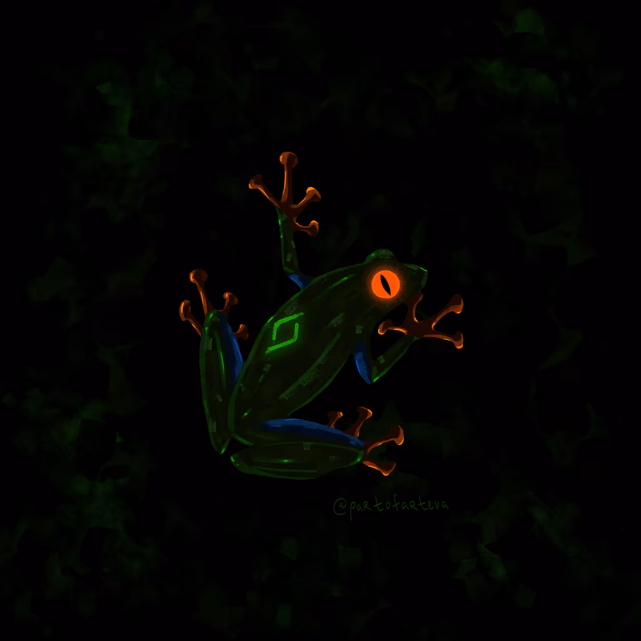 Glimmer the tree frog
