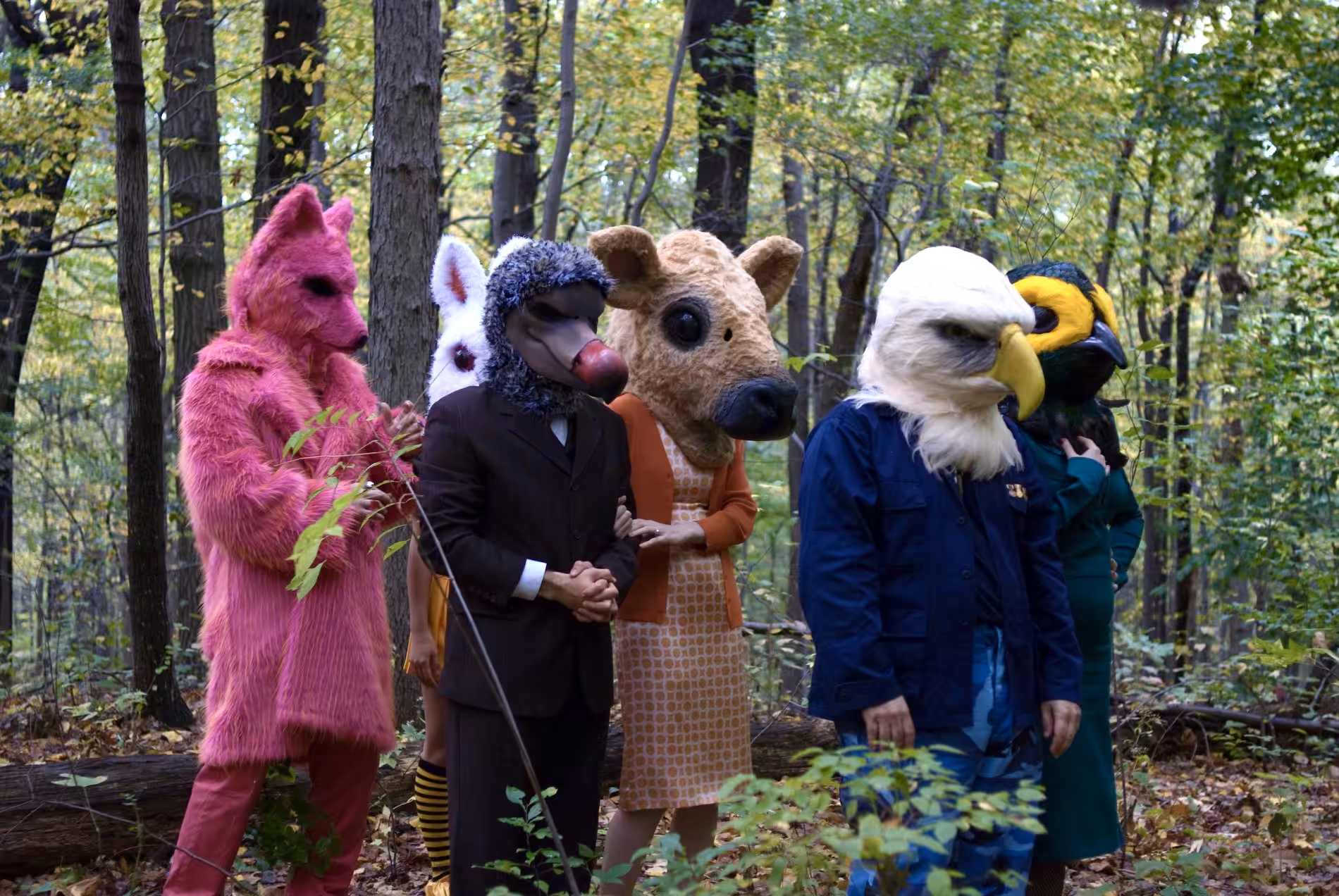 The Animal Crew