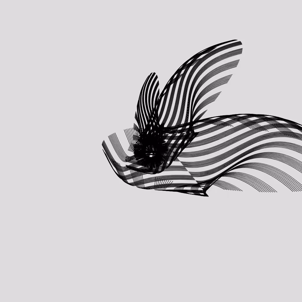 ANATOMY of a rabbit but bird #26