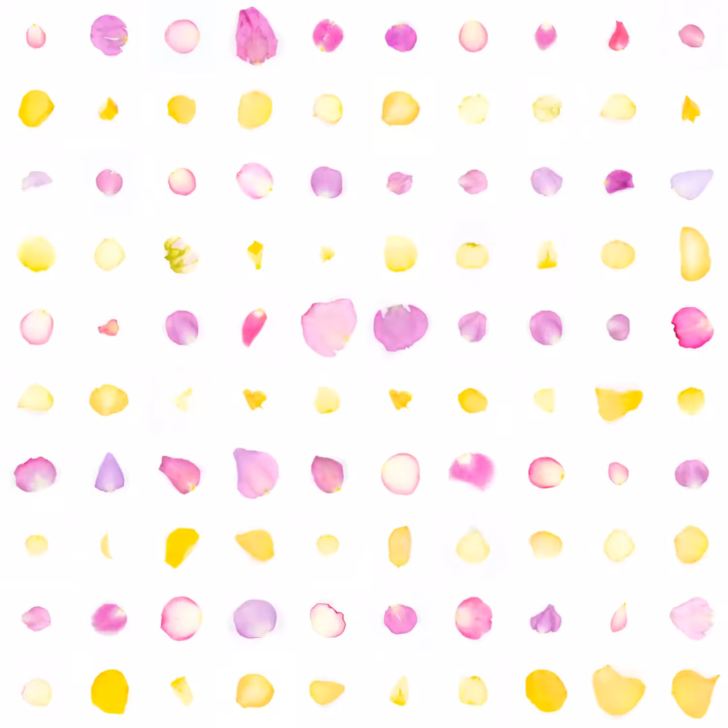 Infinite Petals 10x10#10104