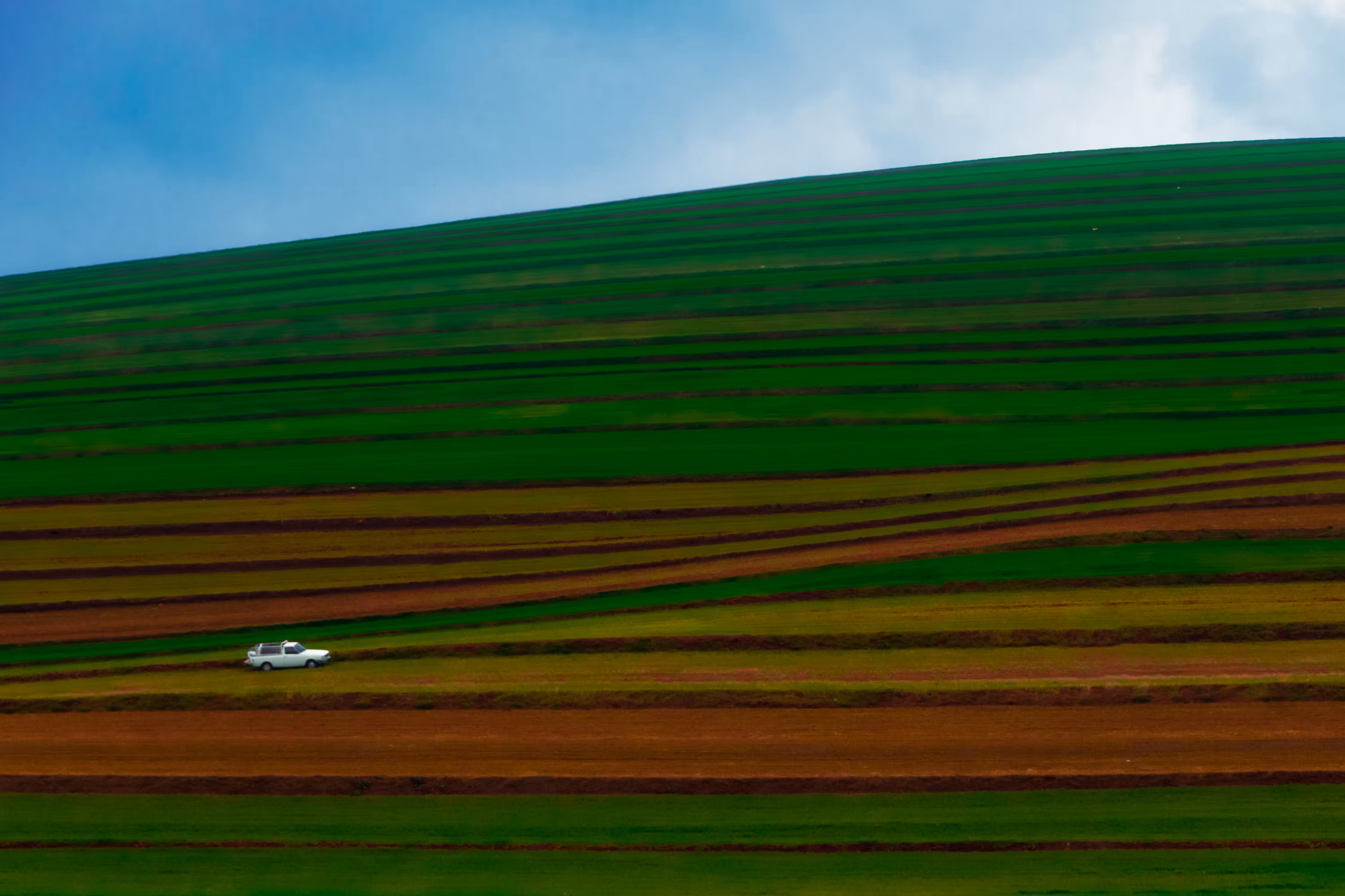 Green Land