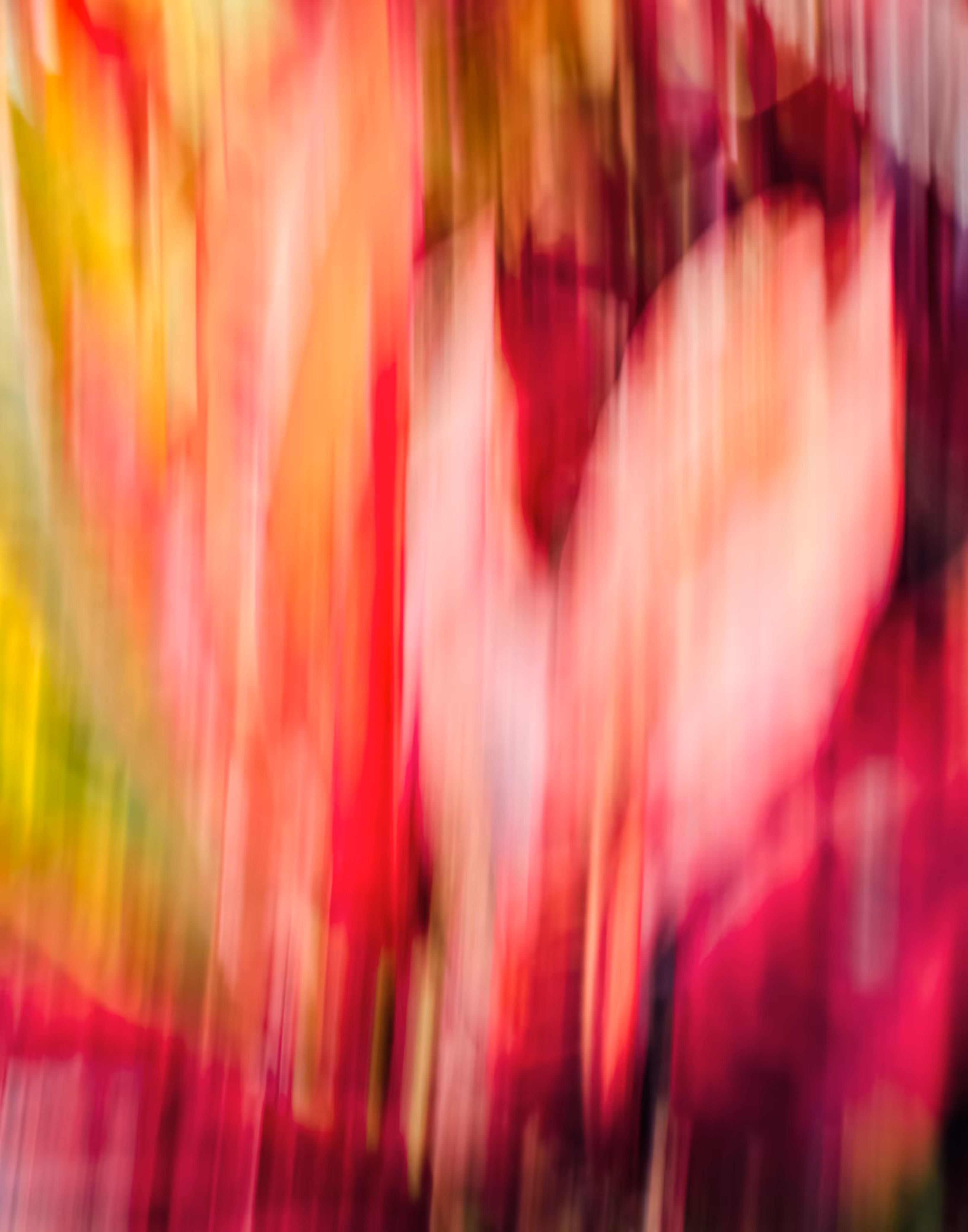 Spread Love