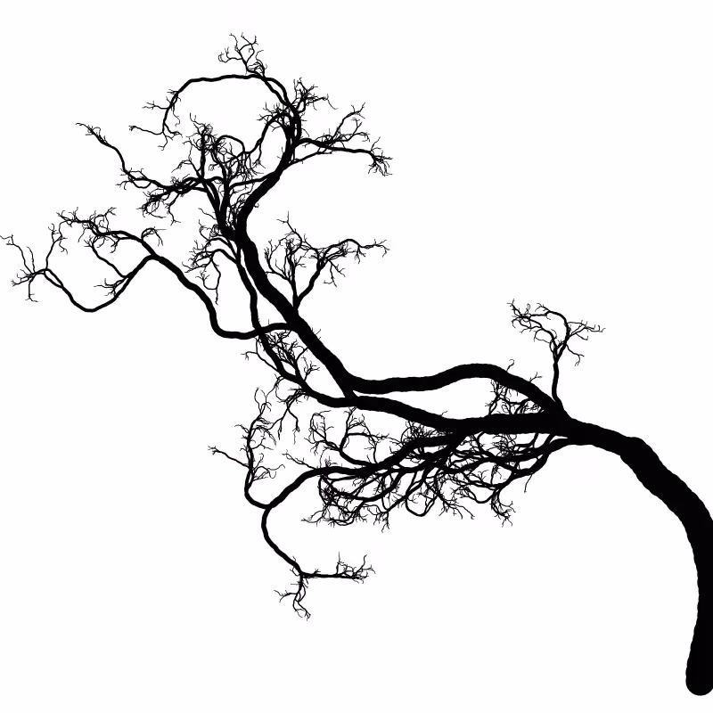 Tree 01 #5