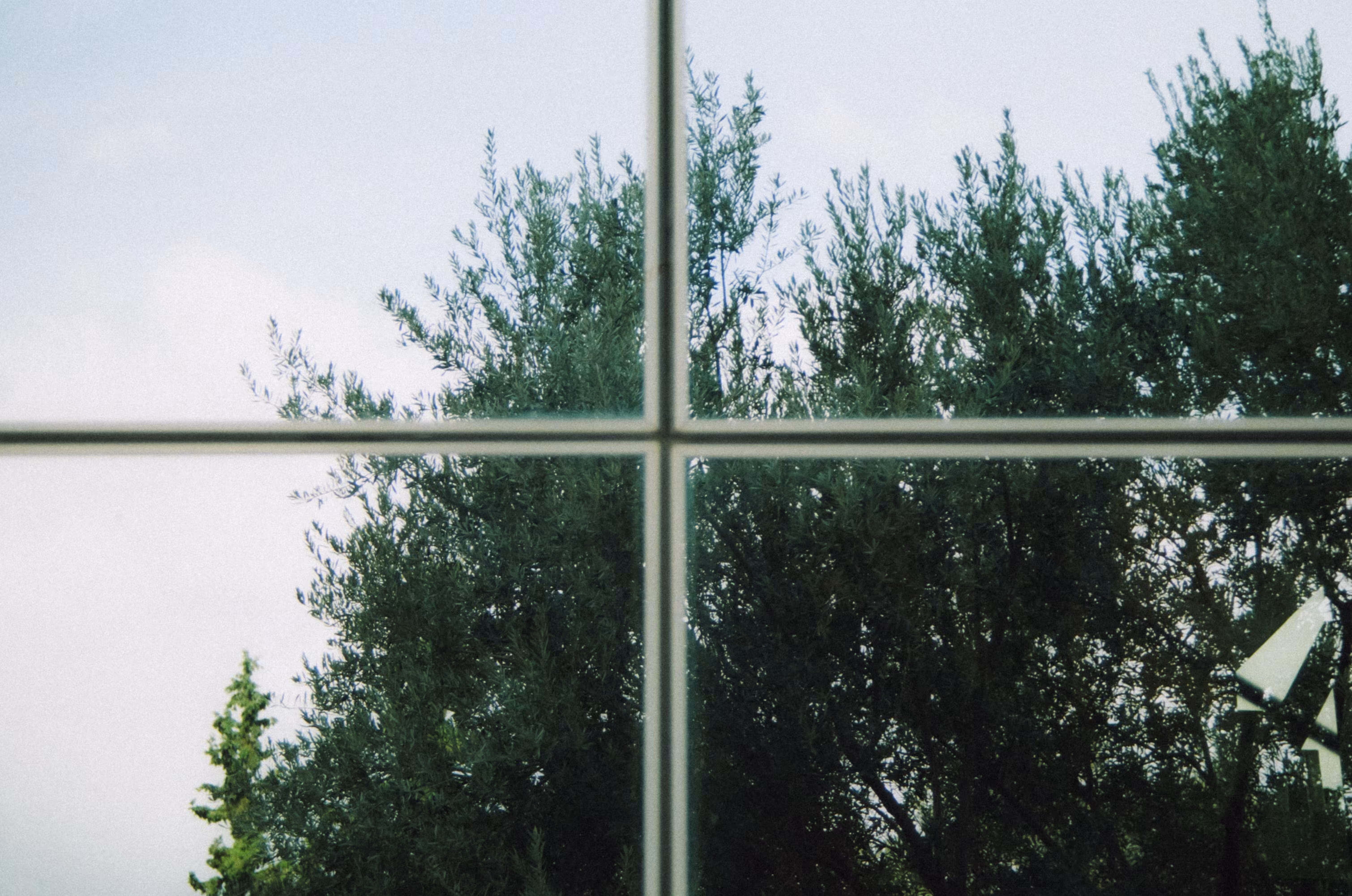 Inevitable Frames: Nature’s Grid